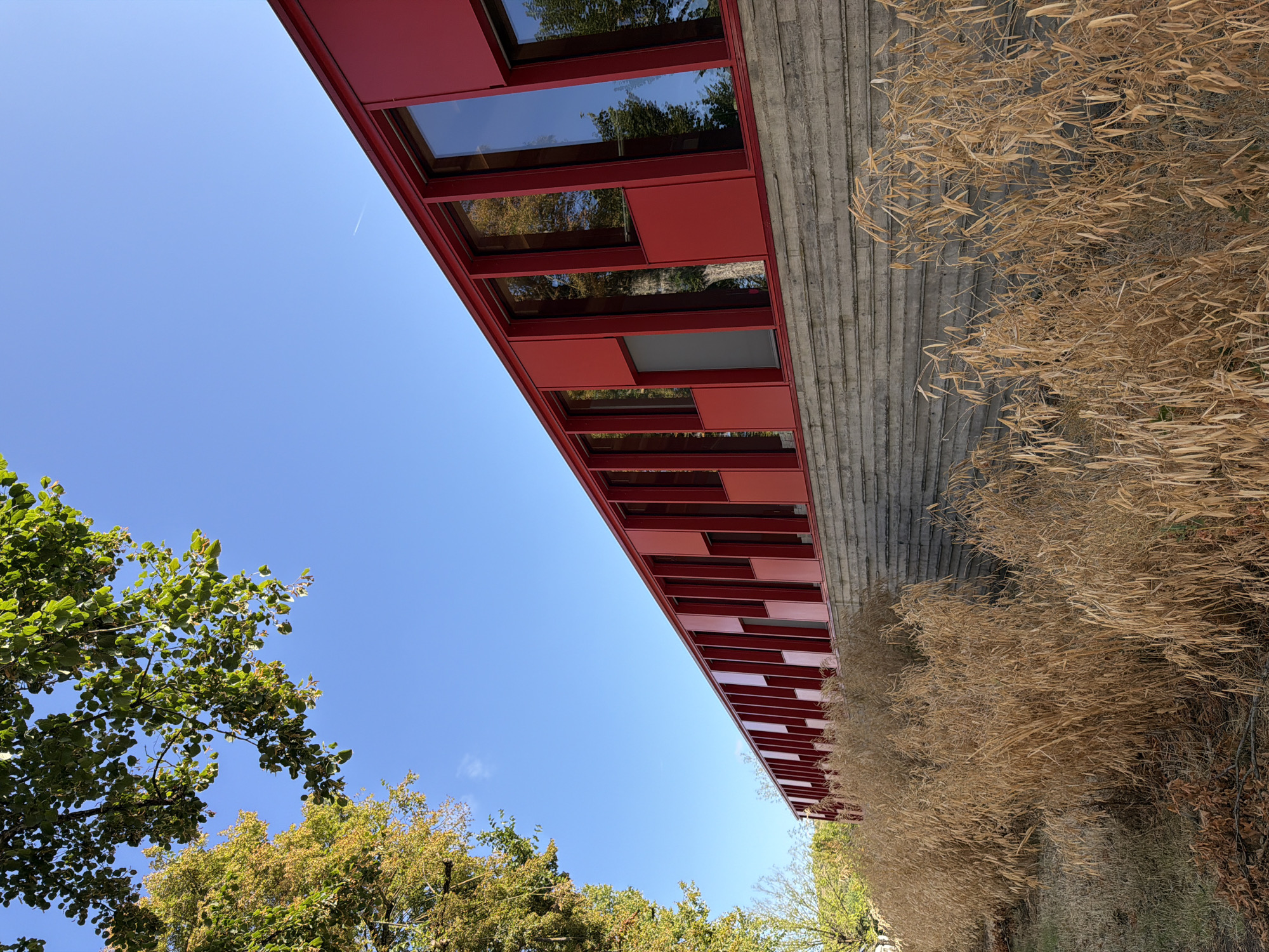 The image captures a modern red building with a row of rectangular windows, reflecting trees and the sky. The building stands on a textured gray concrete foundation. In the foreground, dry, golden grasses and foliage are visible. The scene is set against a clear blue sky, with a few green tree branches extending from the upper left corner. The building appears to be a contemporary architectural structure.