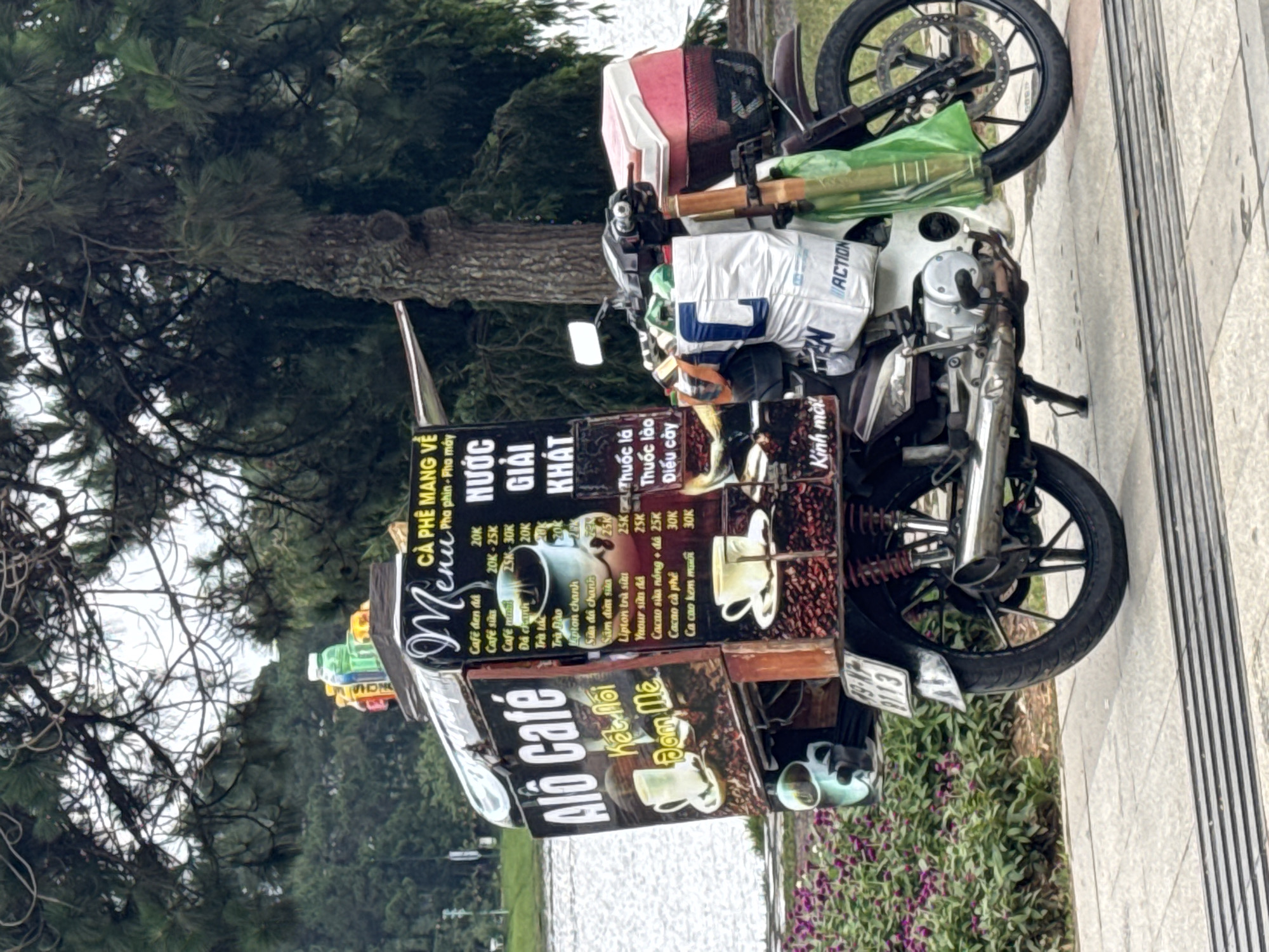 The image shows a mobile coffee stall, ingeniously integrated with a white and dark-colored motorcycle, parked on a paved path next to a body of water, likely a lake, surrounded by lush green trees and bushes. This scene is characteristic of an outdoor setting in Da Lat, Vietnam.
The motorcycle serves as the base for the stall, with shelves and a large black menu board attached. Various supplies, including a cooler, colorful plastic bottles, and a white bag labeled "ACTION," are strapped to the vehicle. The motorcycle's license plate, 49-N7 9113, indicates registration in Lâm Đồng province, which includes Da Lat.
The menu board prominently displays "CÀ PHÊ MANG VỀ" (Coffee to go) and "NƯỚC GIẢI KHÁT" (Refreshments). It lists a range of beverages, including various coffees (iced black, milk, salted), lemonades, teas (kumquat, peach, Lipton), soy milk, ginseng milk, milk tea, yogurt smoothies, and cocoa drinks, with prices from 20K to 30K VND. Notably, the menu also advertises "Thuốc lá" (Cigarettes), "Thuốc lào" (Traditional Vietnamese tobacco), and "Điếu cày" (bamboo pipe), reflecting local offerings. Another sign on the stall reads "Alô Café Kết Nối Đam Mê" (Alô Café Connect Passion), and "Kính mời" (Welcome) is also visible.
The scene appears to be set during daytime, with soft lighting suggesting an overcast sky. The background features dense foliage, likely pine trees, and the foreground includes green bushes with small purple flowers. No people are visible, presenting a quiet moment at the mobile vendor.