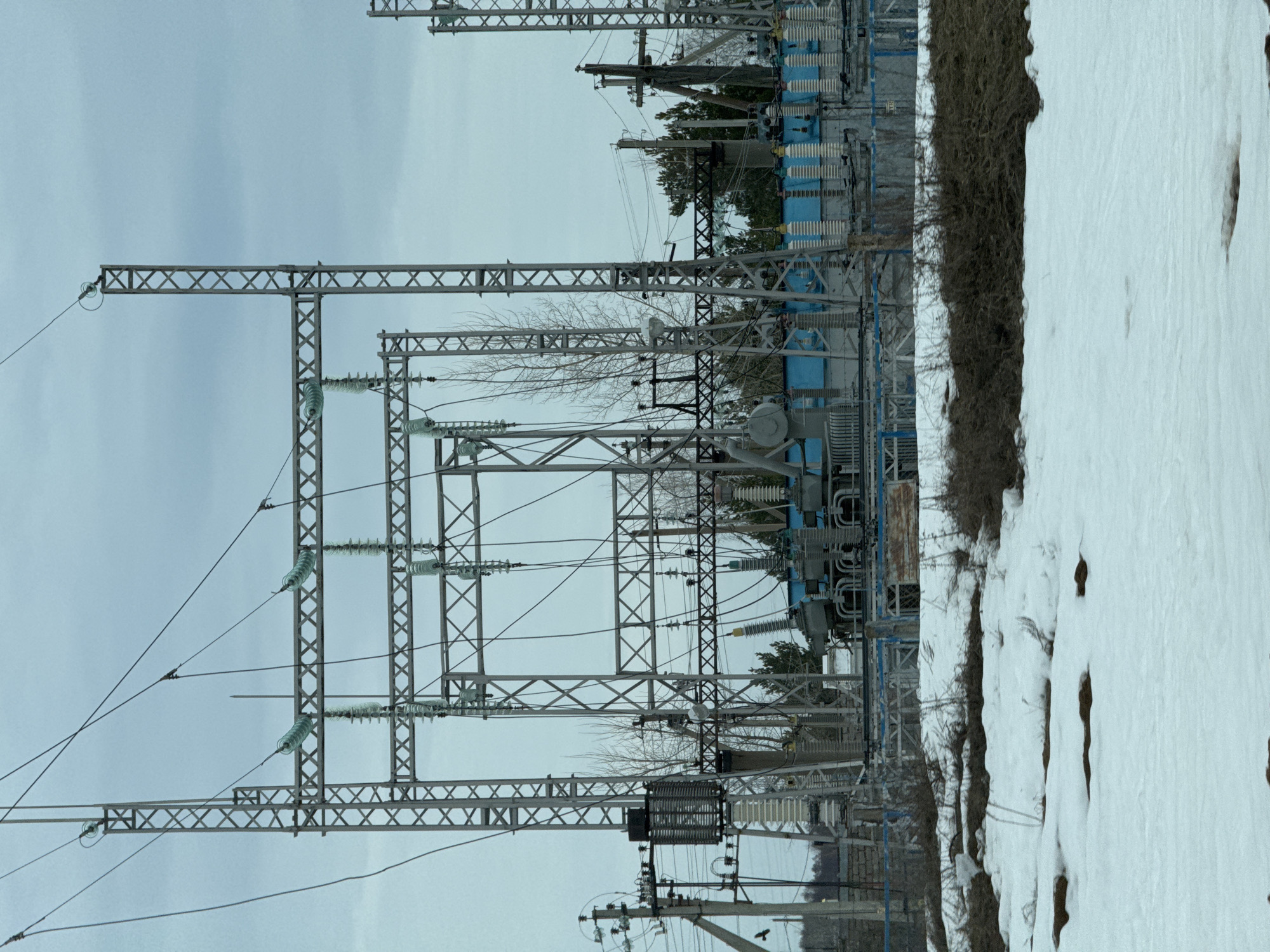 The image shows an electrical substation in Noviy, Russia, on a winter day. Snow covers the ground in the foreground. Behind the snow, there is a dense line of shrubs and bare trees. The substation features a large metal framework of towers and structures used for power transmission and distribution. Various electrical components like transformers, insulators, and switchgear are visible. Several transmission lines stretch across the frame. The sky is overcast, giving a flat, muted tone to the scene.