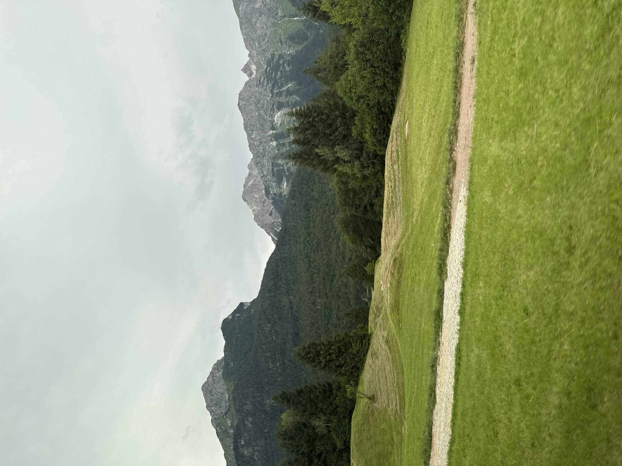 This is a photograph of a mountain landscape with rolling green hills in the foreground and a dense forest leading up to rocky mountain peaks under a cloudy sky. The scene appears to be in the vicinity of Andalo, Italy, a region known for its picturesque mountain scenery. The foreground consists of a vibrantly green, manicured lawn with a dirt path running horizontally across it. The path is lined with gravel and a thin strip of grass. Behind the lawn, a series of undulating hills are visible, some with mowed stripes, suggesting they are either meadows or fields. These hills transition into a dark green forest that covers the lower slopes of the mountains. The mountains themselves are majestic, with rugged, rocky peaks and patches of snow or lighter colored rock, indicative of high altitude. The sky is overcast, creating a diffused light that casts a soft glow on the landscape. There are no people or animals visible in the image, and the overall impression is one of natural beauty and tranquility.