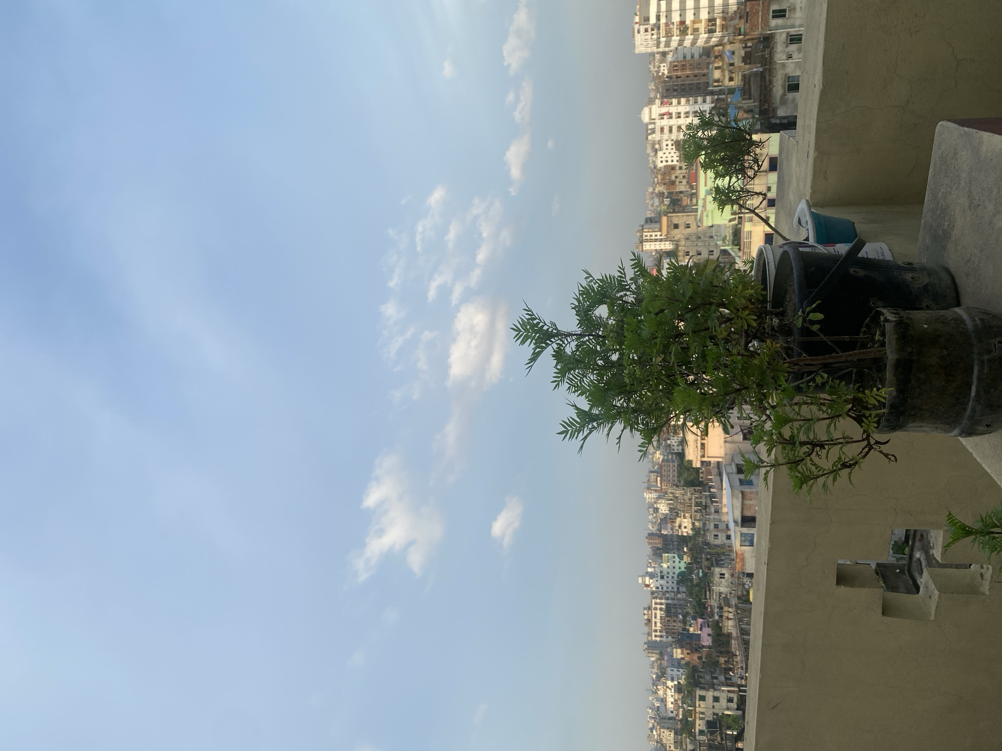The image depicts a rooftop view overlooking a densely populated urban landscape in Dhaka, Bangladesh. In the foreground, two potted plants, one taller and bushy, the other smaller and more delicate, are situated on a concrete surface. Behind them, a beige-colored concrete wall with a unique cross-shaped opening is visible. The wall forms the edge of the rooftop, beyond which lies a sprawling cityscape characterized by numerous buildings of varying heights and architectural styles. The structures are densely packed, suggesting a high population density. The sky above is a pale blue with scattered white clouds, indicating it may be daytime, possibly late afternoon or early morning given the soft lighting. The overall scene conveys a sense of everyday urban life in a major South Asian city.