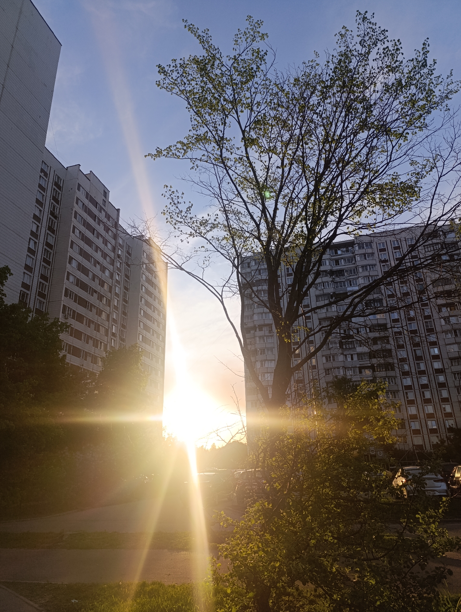 Here's a detailed description of the image:
**General Description:**
The image depicts a street scene dominated by two tall, Soviet-era apartment buildings. The sun is setting or rising between them, creating a strong glare and lens flare effect.
**Subjects and Objects:**
* **Apartment Buildings:** Two large, multi-story apartment buildings with a grid-like facade of windows and balconies.
* **Trees:** There's a tree with budding leaves and bare branches in the foreground. Shrubbery is visible along the bottom edge of the image.
* **Sun:** The sun is positioned between the buildings, producing intense light and glare.
* **Ground:** A walkway or street is visible at the bottom of the frame.
**Environment:**
* **Setting:** Urban setting within a residential area. The presence of Soviet-style architecture suggests a location in a post-Soviet city.
* **Light:** The scene is heavily impacted by the bright sunlight, causing strong shadows and a warm glow.
* **Weather:** The sky is partially clear with some light clouds.
**Actions and Interactions:**
There aren't any clear actions or interactions occurring within the frame. It's a static scene capturing the urban environment at a specific time of day.
**Location:**
The image is located in the city of Unknown, Unknown.