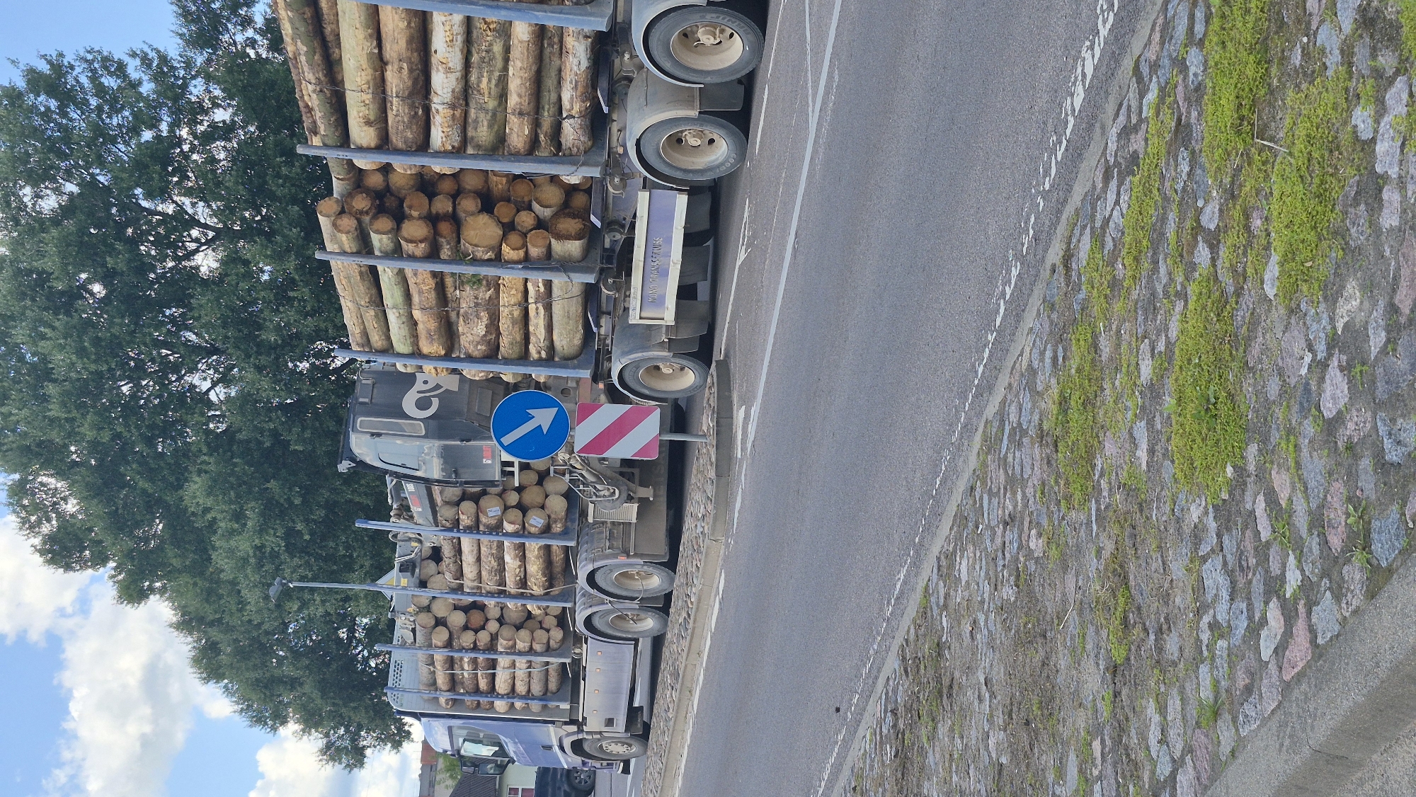 A blue logging truck is parked on a paved road in Krāslava, Latvia. The truck is loaded with large logs. A blue and white directional sign is visible on the side of the road, indicating a turn. The road has white lane markings and a cobblestone shoulder with some patches of green vegetation. In the background, a line of tall trees with dense green foliage is present. The sky is blue with scattered white clouds.