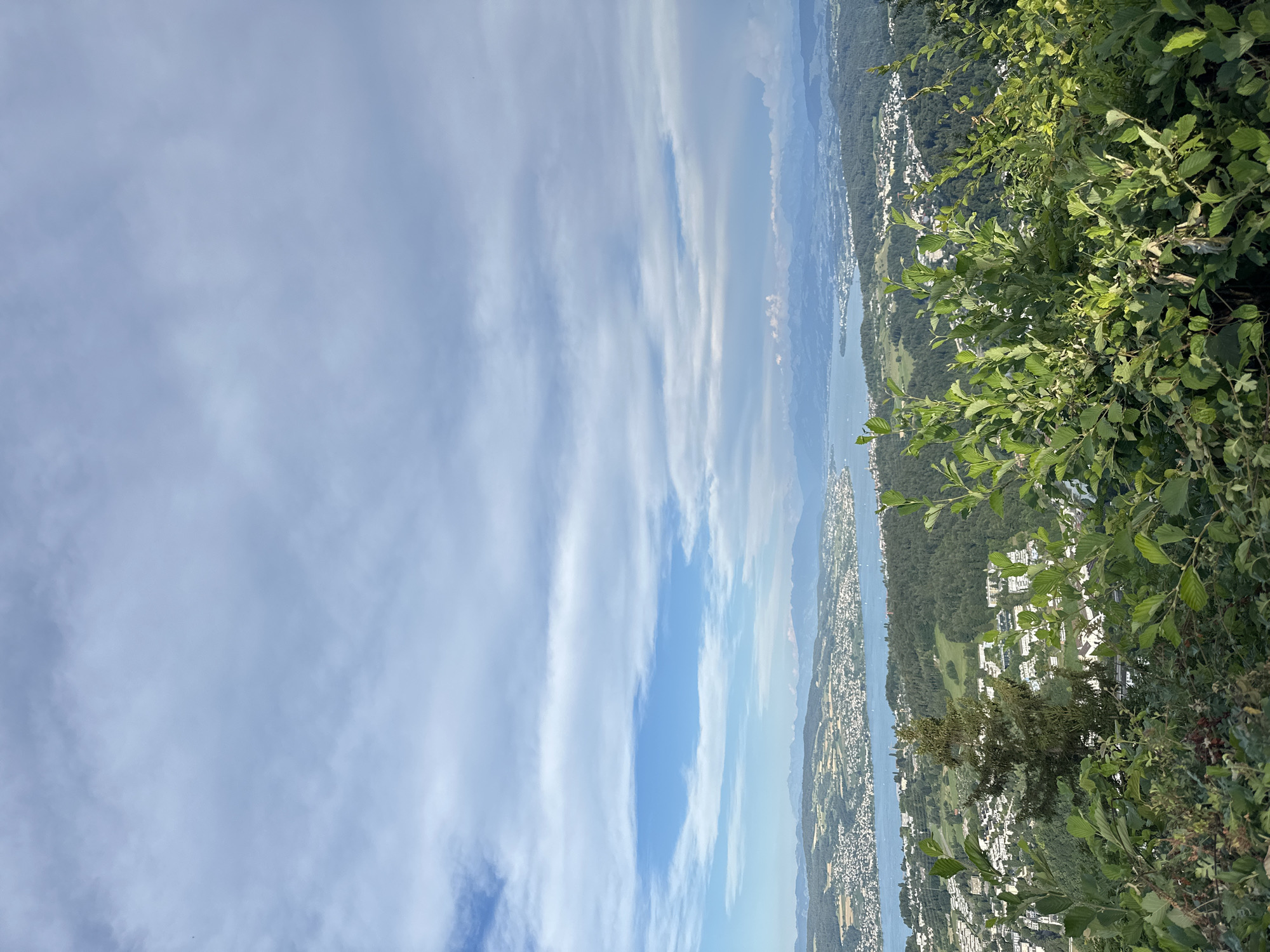 The image captures a panoramic view of Lake Zurich and the surrounding landscape from a vantage point likely in or near Stallikon, Switzerland. The foreground is dominated by lush green foliage, with leafy branches and bushes obscuring the lower portion of the scene. Beyond the foliage, a dense forest covers rolling hills, interspersed with residential areas featuring white buildings. The lake, a large body of blue water, stretches across the mid-ground, reflecting the sky. In the distance, a range of mountains, partially shrouded in haze, forms the backdrop. The sky is a significant element, filled with a mix of blue patches and soft, white, elongated clouds. The overall impression is one of a serene, natural landscape with urban development integrated into the environment. There are no people or animals visible in the frame.
