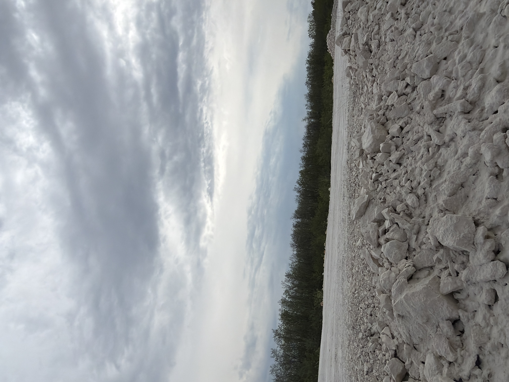 The image shows a cloudy sky above a quarry-like environment. To the right of the image, there is a large pile of white rocks and stones, typical of a quarry. A line of trees is visible between the rocks and the sky. The image suggests an outdoor location with mining or quarrying activities. Based on the image, it is impossible to definitively confirm the location is in Goran, Bulgaria.
