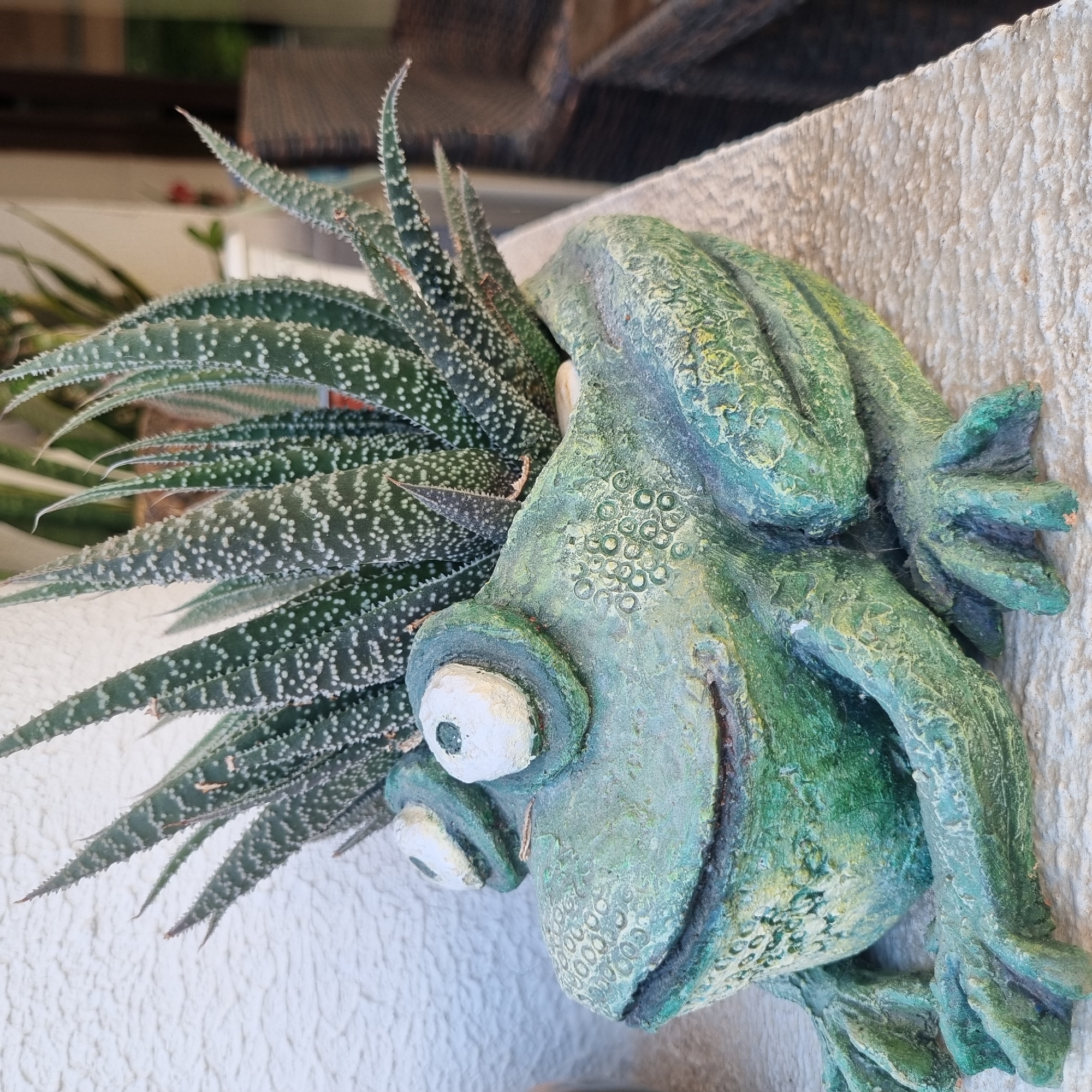 A frog-shaped planter containing a succulent plant sits on a textured ledge. The planter is green with some weathered yellowing and has large white eyes. The succulent has long, spiky green leaves with white spots. The background shows a textured white wall and out-of-focus chairs. The location is Konyaaltı, Turkey.