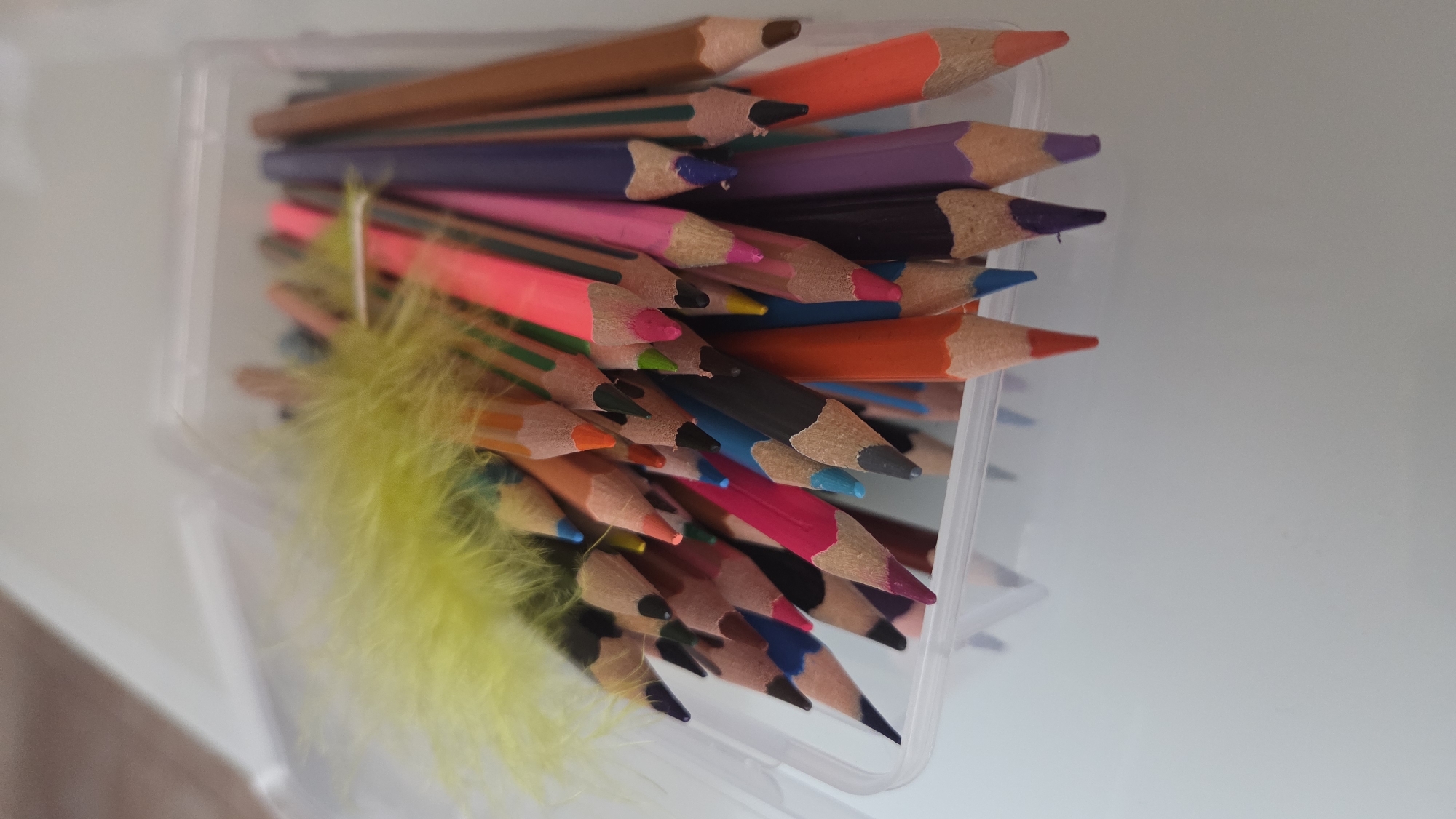 A clear, rectangular plastic container is filled with a dense collection of sharpened colored pencils, photographed from a slightly elevated and angled perspective. The pencils are arranged with their tips generally pointing towards the right side of the frame, showcasing a rich palette of colors. Notable hues include vibrant orange, various shades of pink, deep purple, black, different blues, bright reds, greens, browns, and yellows. The wooden casings of the pencils are visible, some featuring distinctive striped patterns. Many of the pencil tips appear to be well-used, with some being sharply pointed and others showing slight wear or minor breakage. Intertwined among the pencils on the left side of the container is a fluffy, bright yellow feather or feather-like decoration, providing a soft, textural element. The container itself is transparent, allowing a clear view of the pencils inside. The background is a plain, light-colored surface, likely a tabletop, offering a clean, uncluttered setting. The lighting is even and soft, characteristic of an indoor environment. The image is a still life, capturing an organized collection of art supplies. There is no visible text on any of the pencils or the container. The scene is set in Chaikovsky, Russia.