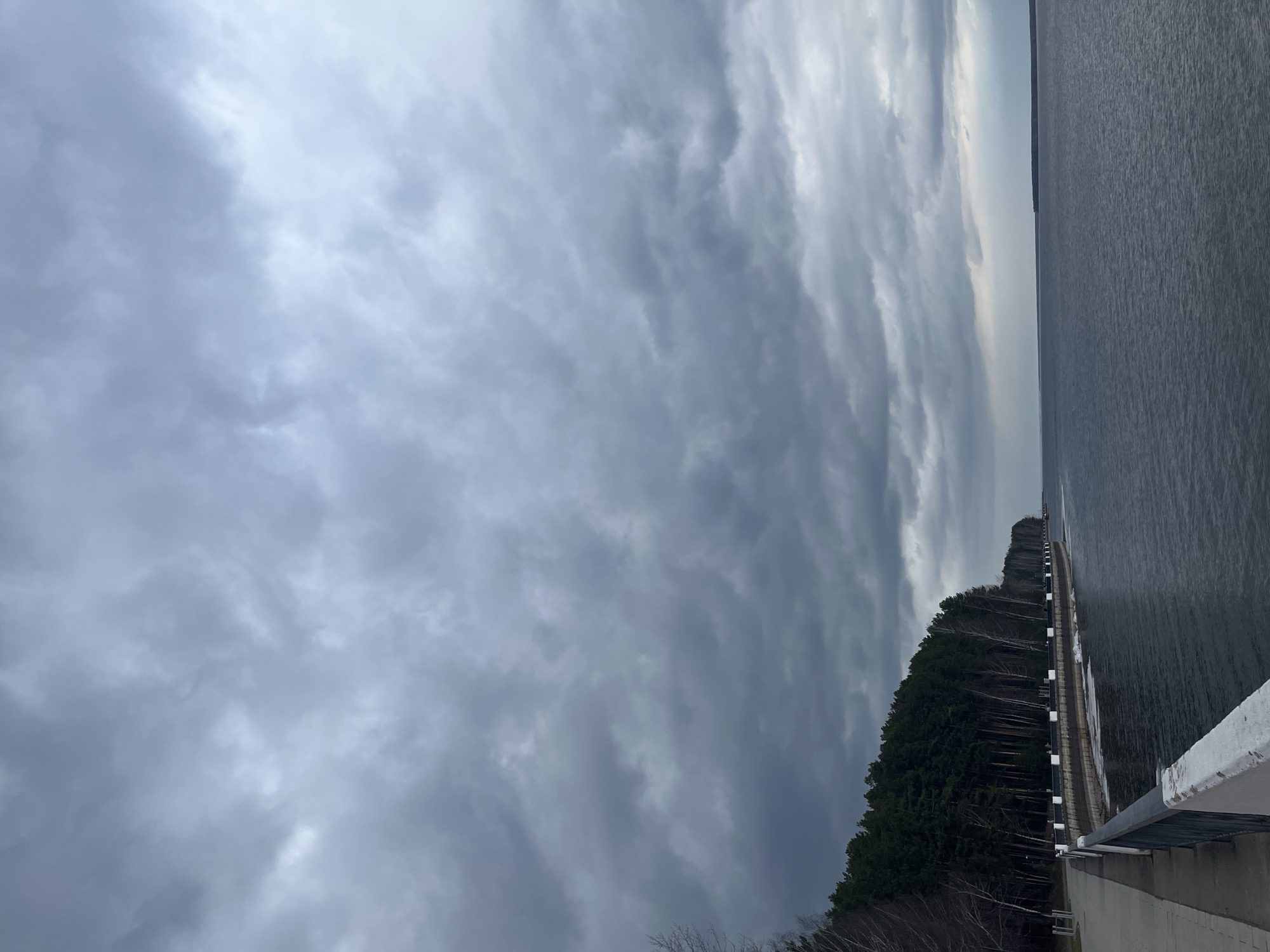 The image depicts a dam and a large body of water under a cloudy sky. The dam structure is visible on the right side of the frame with its barrier extending into the water. Along the shore beside the dam, there is a dense growth of trees. The sky is predominantly filled with grey clouds, giving the scene an overcast and somber appearance. I have no data to confirm the location is in the city of Chaikovsky, Russia.