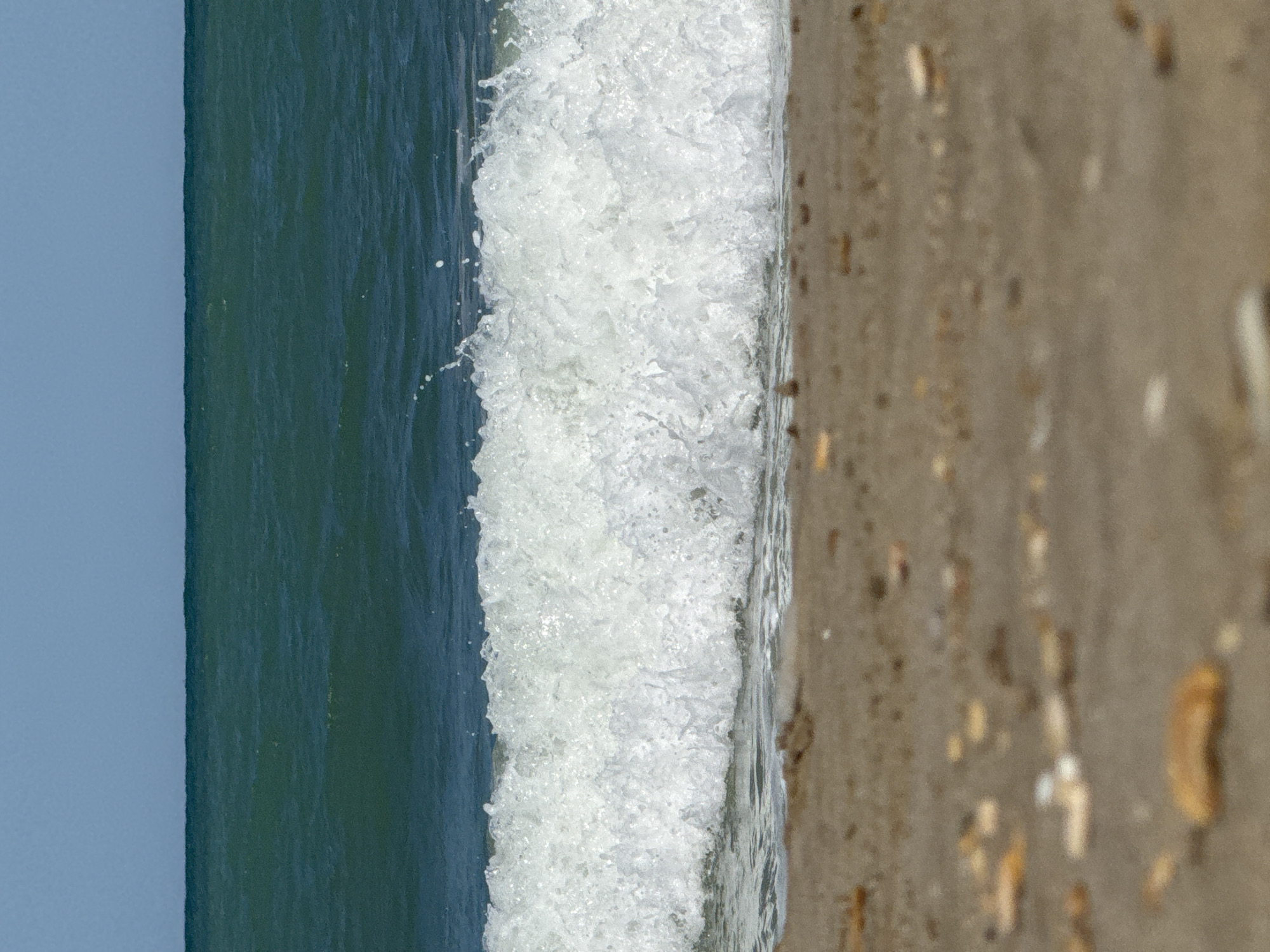 The image depicts a close-up, eye-level view of a beach scene. In the foreground, the sandy beach is out of focus, with scattered shells and pebbles visible. A wave is breaking in the mid-ground, creating a frothy white foam and spray. The water is a deep teal color. The horizon line, where the ocean meets the clear blue sky, is visible in the background. This image was taken at the Lungomare in San Benedetto del Tronto, Italy.