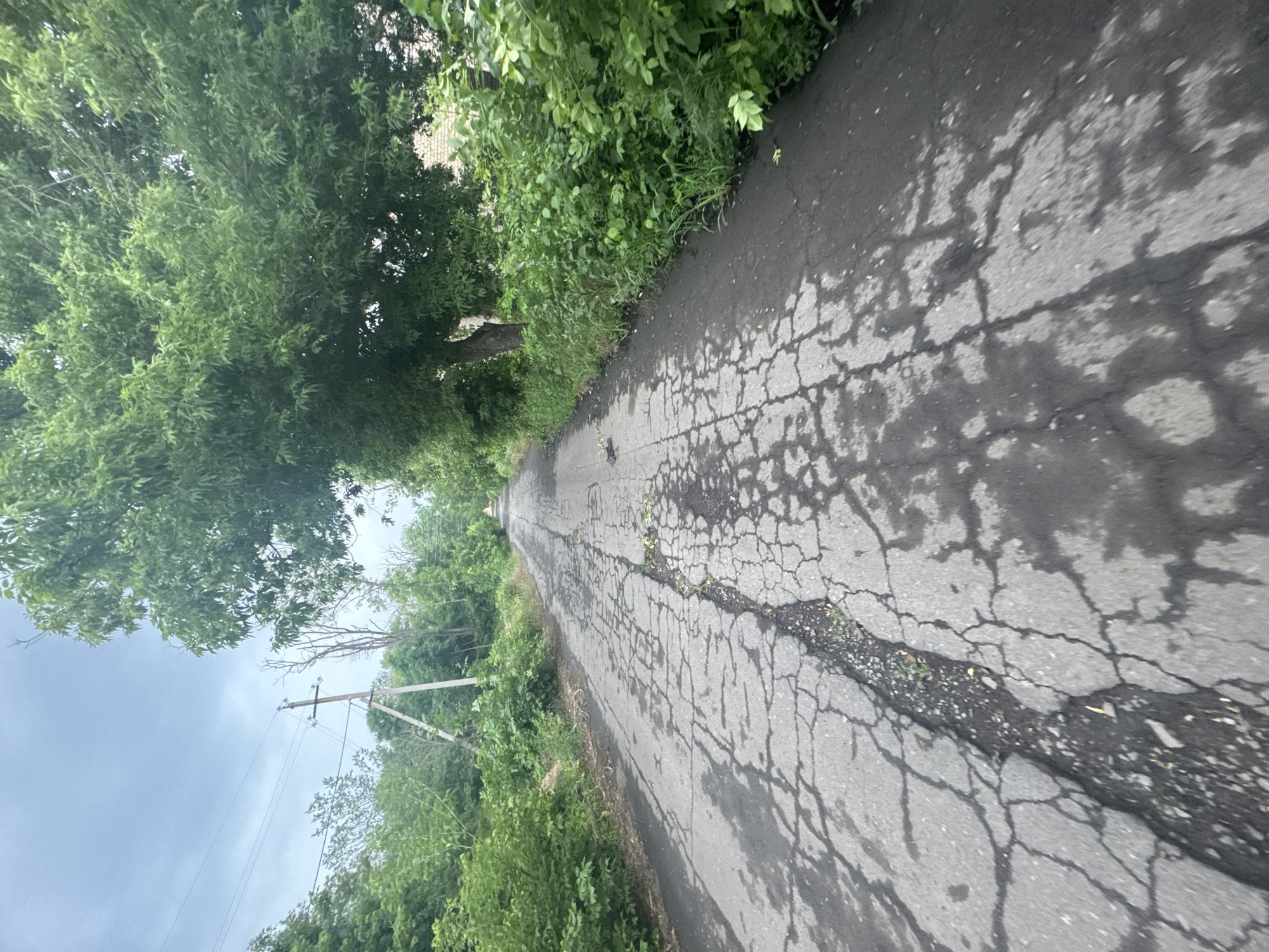 The image depicts an outdoor scene featuring a cracked and weathered asphalt road that recedes into the distance. Lush green foliage lines both sides of the road, with large trees casting shadows and contributing to a dense, natural environment. In the background, a utility pole with wires is visible, suggesting proximity to infrastructure within a potentially rural or suburban setting. The sky overhead is overcast with a grey, cloudy appearance. The overall impression is one of a somewhat neglected but verdant path within a natural landscape.