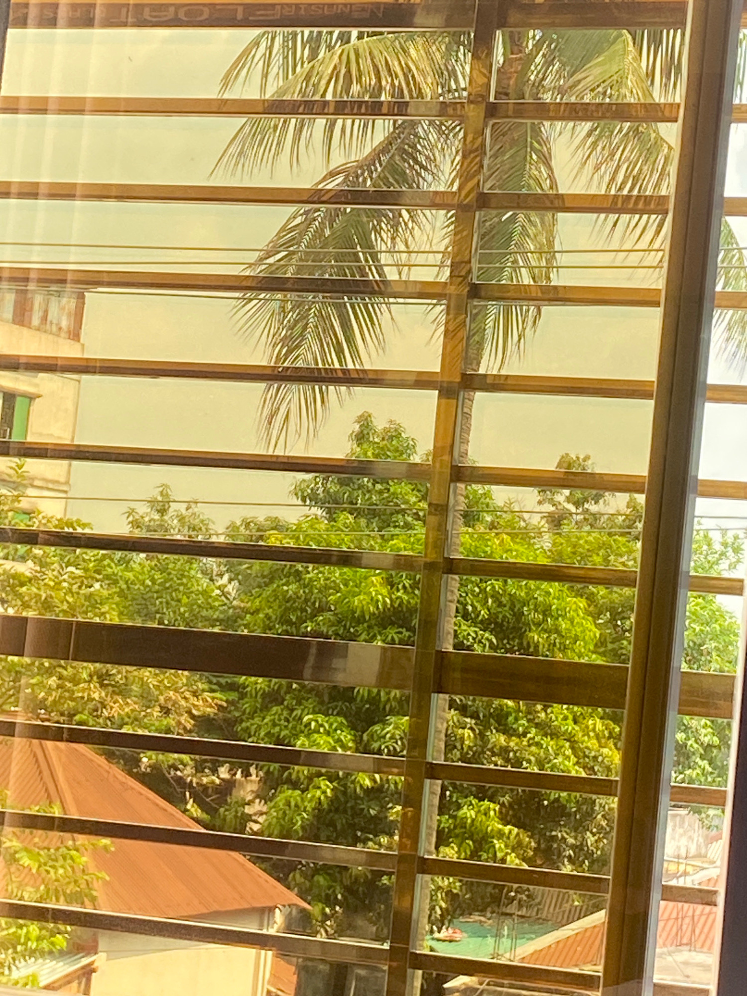 In Hemayetpur, Bangladesh, viewed through a window with golden-tinted blinds, a palm tree is visible against a pale sky. Below the palm, a dense canopy of lush green trees fills the middle ground. In the foreground, the reddish-brown, pitched roof of a building partially obscures a lighter colored structure. The scene appears to be a residential or mixed-use area with dense vegetation.