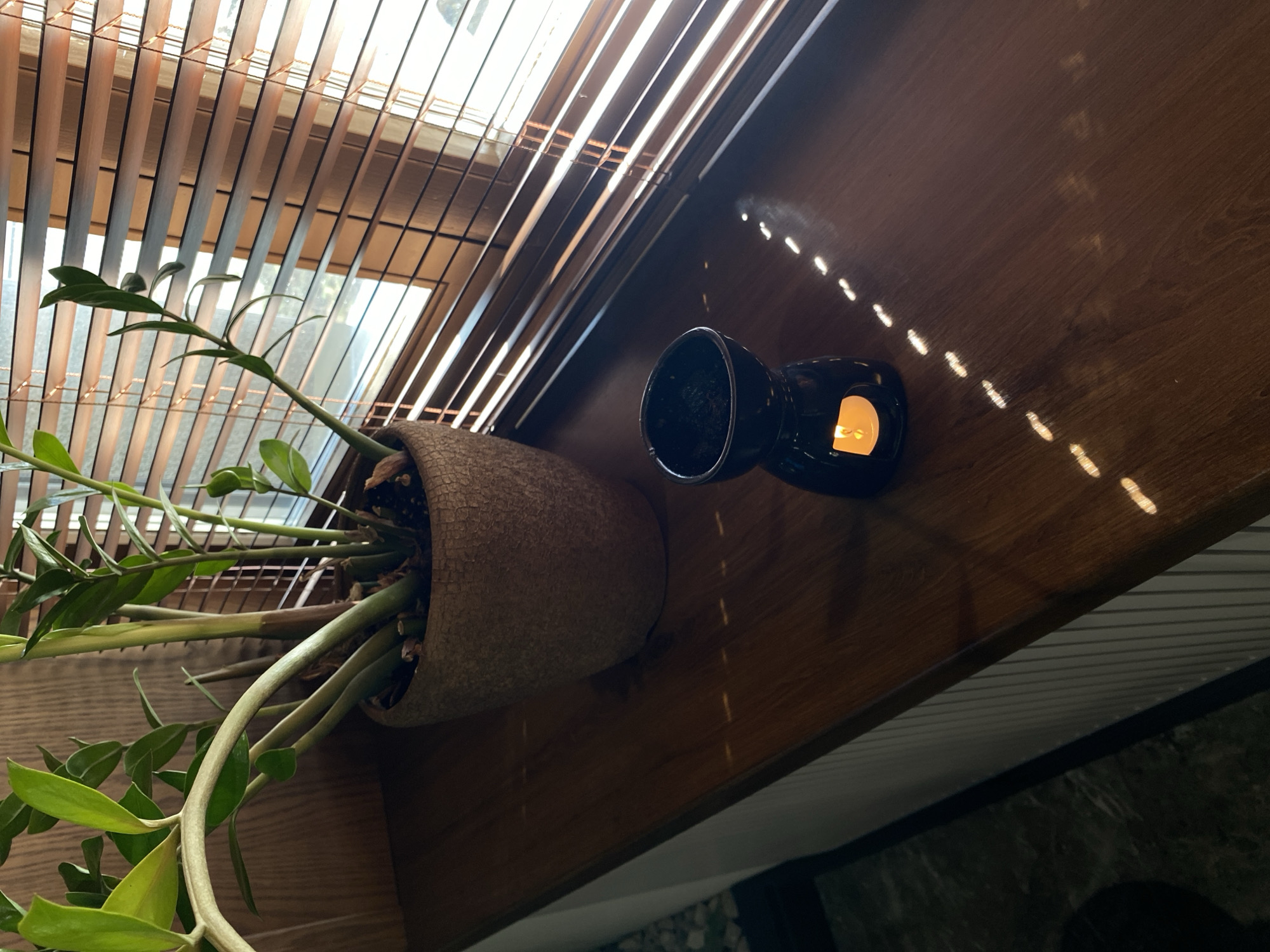 A tilted overhead shot captures a plant in a textured pot next to a lit oil warmer on a wood surface. Light streams through closed blinds, creating a pattern of bright spots across the surface. The location is unknown and cannot be determined to be in Votkinsk, Russia, based on the visual information.