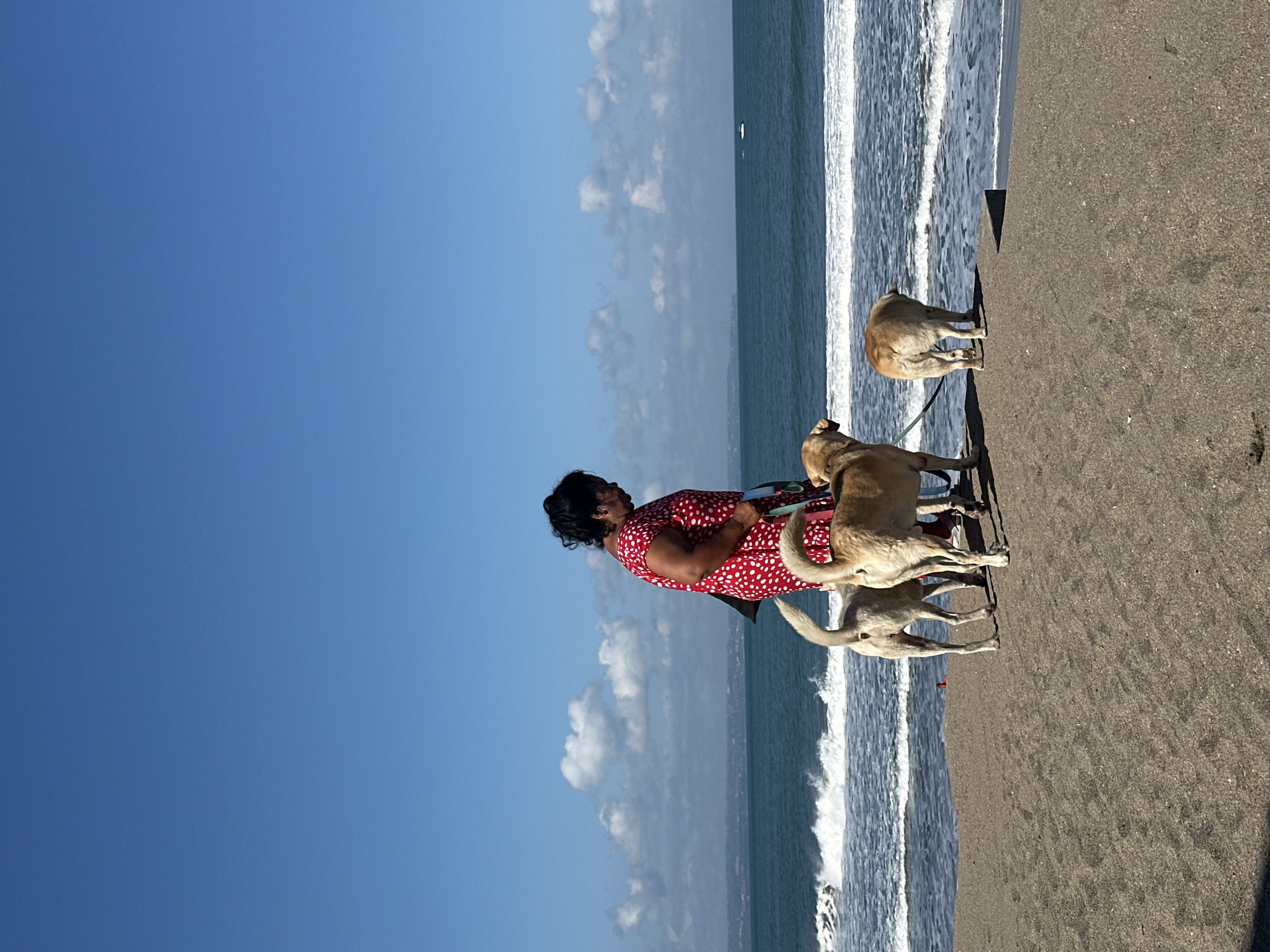 The image depicts a bright and sunny beach scene in North Kuta, Indonesia, likely during midday or early afternoon. An adult woman, dressed in a distinctive red dress with white polka dots, stands on the dark sandy shore. Her dark hair is pulled back, and she is looking towards the ocean and her dogs, possibly holding leashes.
Three light brown or tan dogs are accompanying her. Two dogs are positioned close to the woman, appearing to be on leashes, and are looking out towards the water. A third dog, also light brown, is further down the beach near the breaking waves, seemingly exploring the shoreline.
The vast ocean dominates the right side of the frame, with white-crested waves gently breaking onto the dark, volcanic sand. The sky above is a clear, vibrant blue, dotted with a few scattered white clouds, indicating pleasant weather. The scene conveys a sense of tranquility and enjoyment as the woman and her dogs spend time by the sea. There is no visible text in the image.
