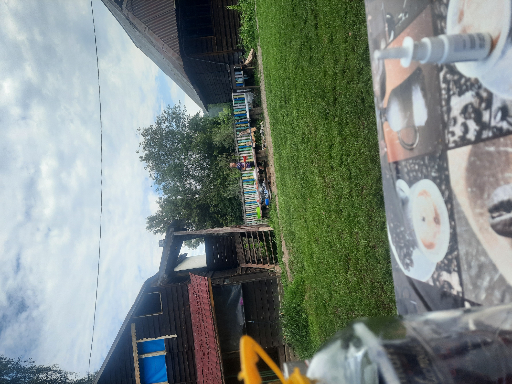 The image depicts a rural scene in Katun, Russia, likely a backyard or common area. In the foreground, a table is visible with a large glass bottle and a white nasal spray bottle. The middle ground features a lush green lawn, a wooden picnic table with benches, and a colorful wooden fence. A young child in a purple and white shirt is standing near the table, holding a red object. Behind the fence are two rustic wooden structures, possibly houses or outbuildings. One structure on the left has a red-tiled roof and blue coverings over one of its windows. The other structure on the right has a corrugated metal roof. Trees and foliage are present in the background, and the sky is partly cloudy. The overall impression is one of a casual outdoor setting.