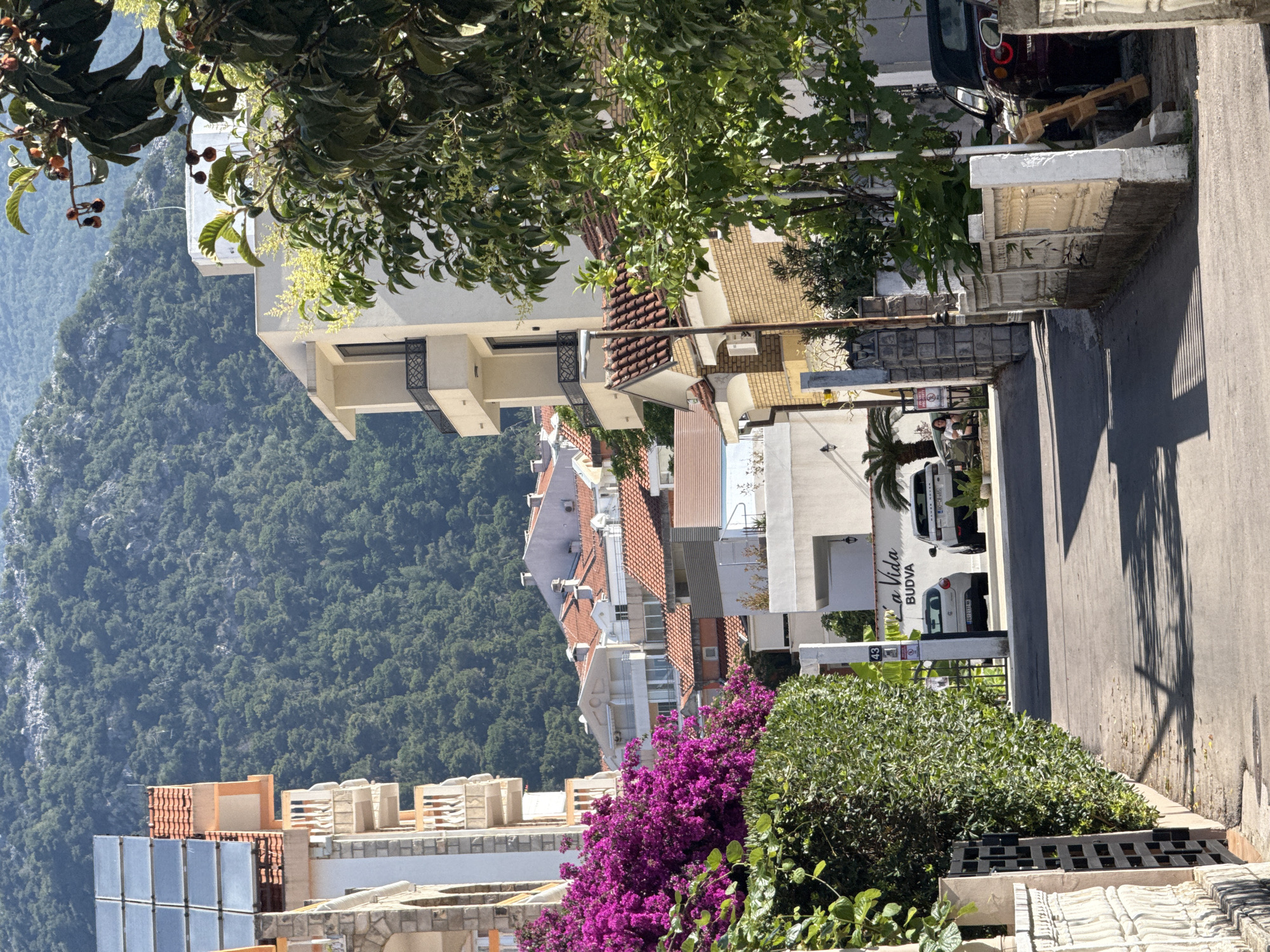 The image shows a narrow street in Budva, Montenegro, lined with buildings and vegetation. On the left side of the street, a white building with balconies and solar panels is visible. Adjacent to it is a dense green hedge and vibrant purple bougainvillea flowers. Further down the street, there are more buildings with red-tiled roofs. On the right side, a yellow brick building and a white fence are present. A dark red convertible is parked on the right. Two cars are parked on the left side of the street, a white SUV and a smaller white car. A sign on the wall reads "La Vida BUDVA". A steep, tree-covered mountainside forms the backdrop of the scene. The sun is shining, casting shadows on the street, indicating it is daytime.