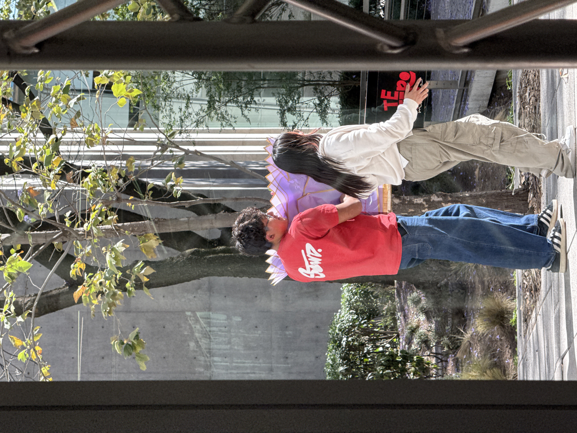 Two individuals, one male and one female, are depicted walking on a paved surface while carrying a large, multifaceted purple and gold decorative object under bright sunlight in an urban environment consistent with Mexico City, Mexico.
The male subject, visible primarily from the back, has dark, curly hair and wears a red short-sleeved t-shirt with a white graphic on the back, blue jeans, and black-and-white striped sneakers. He supports the large decorative object with both hands, holding it in front of him.
The female subject, positioned to the right of the male and partially obscured, has long, straight dark hair and wears a light-colored long-sleeved top, light khaki cargo pants, and light-colored sneakers. Her right arm is extended towards the decorative object, indicating shared transport.
The decorative object is large, structured, predominantly purple with gold-colored trim, and appears to be a ceremonial lantern or float.
The immediate foreground is framed by dark vertical structural elements, possibly part of an architectural feature or railing. The ground is light-colored pavement. The midground features trees with green and yellowish leaves, dark green bushes, and sparse purple blossoms on the ground. The background consists of modern urban architecture: a grey concrete building with horizontal lines and slight reflections on the left, and a building with vertical white panels and reflective glass windows on the right. A black sign with partially visible red text, "TE", is located behind the female subject. Strong sunlight illuminates the scene, casting distinct shadows.