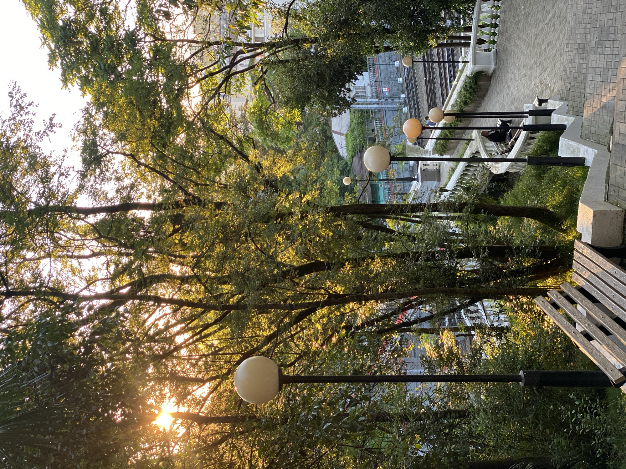 The image captures a tranquil outdoor scene, likely a park or promenade, during golden hour in Sochi, Russia. Lush green trees with dense foliage fill the left side and foreground, their leaves radiantly illuminated by the warm, low-angle sunlight filtering through the canopy. This creates striking backlighting, casting bright highlights on the leaves and producing lens flare effects.
A paved pedestrian walkway, constructed from grey block pavers, runs along the right side, bordered by an ornate white balustrade. Numerous black lampposts, each topped with a spherical white light, line the path, guiding the eye down the walkway. A wooden slatted bench is positioned next to the balustrade, where a person is seated, appearing to relax in the peaceful setting. Another person is faintly visible further down the path, closer to the railway.
In the mid-ground, visible through and beyond the trees and balustrade, are train tracks with overhead power lines and poles, indicating an active railway line. Distant buildings and additional greenery can be seen beyond the tracks, partially obscured. The time of day is characterized by the soft, warm glow of the sun, suggesting either late afternoon or early morning. The overall atmosphere is serene and natural, blending urban elements with vibrant greenery. No visible text is discernible in the image.