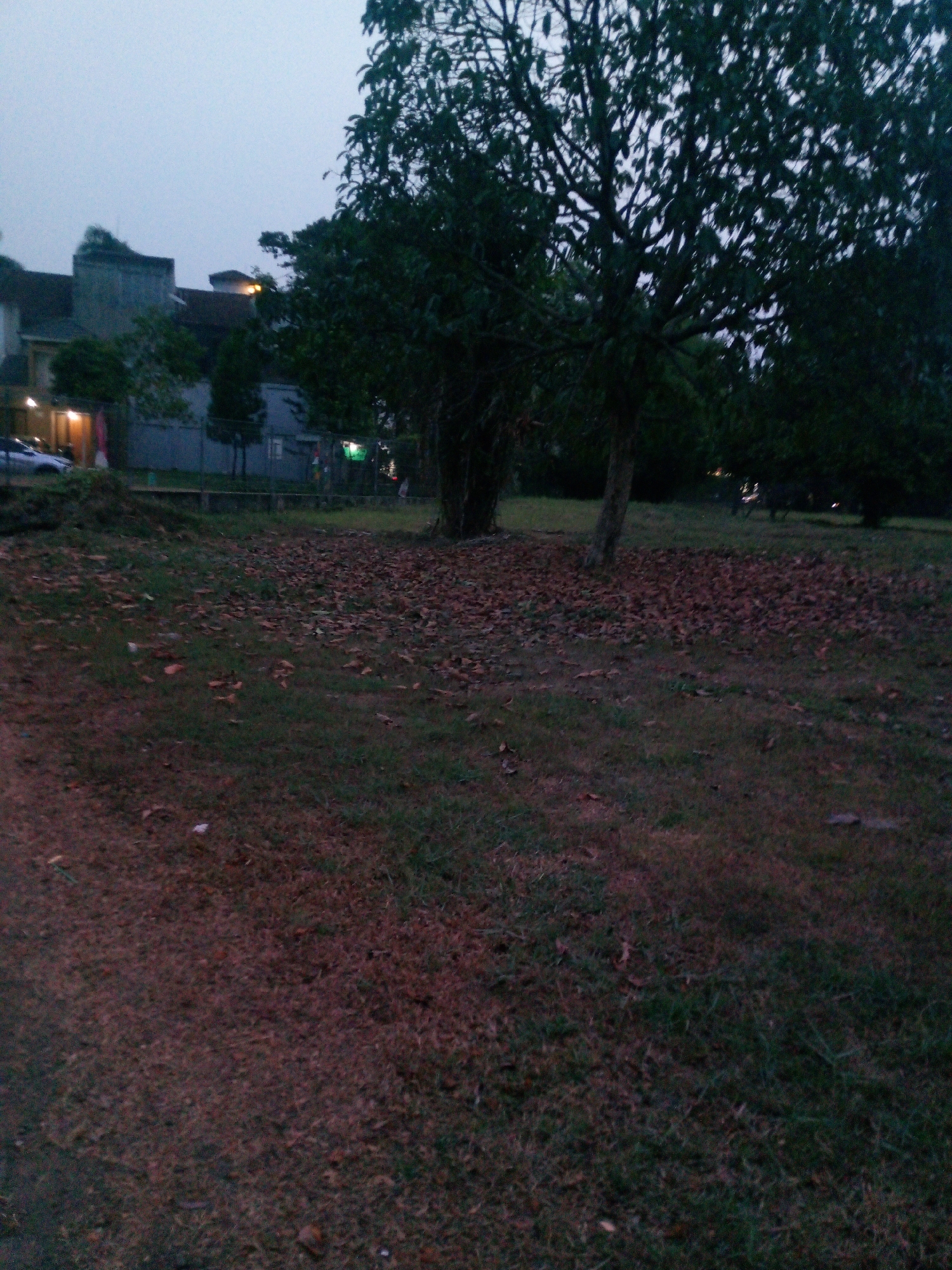 The image depicts a dusk scene in Cikupa, Indonesia, likely a residential or park area. In the background, a multi-story building with a dark roof is visible, along with a smaller structure and a grey fence. Several trees with dark green foliage are scattered throughout the scene, with one large tree in the foreground to the right. The ground is covered with a mixture of dry leaves and grass, and a dirt path runs along the left side of the image. The sky is overcast and a dull grey. A car is parked on the dirt path in the background. There are no people clearly visible in the image.