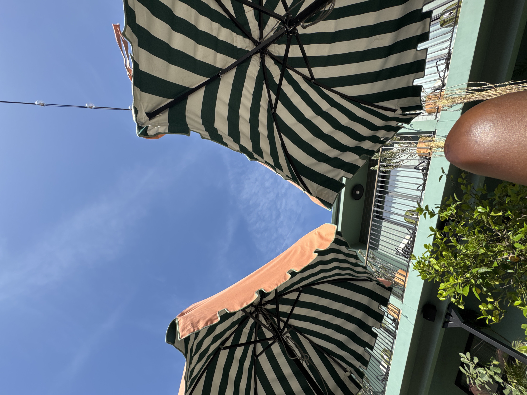 The image presents a low-angle view looking upwards towards a bright blue sky, capturing parts of a building and two outdoor umbrellas. The dominant subjects are two large, open umbrellas featuring a striking pattern of alternating green and white stripes. The closest umbrella is partially visible in the lower center, while another is positioned further back and to the left.
The setting appears to be an outdoor leisure area, such as a balcony, patio, or restaurant terrace, within West Hollywood, United States of America. A light green or teal-colored building facade runs along the right side of the frame, showcasing several balconies adorned with dark metal railings. Potted plants and vibrant green foliage, including a leafy tree, are visible on and around the balconies, adding to the lush atmosphere. In the upper right corner, a portion of a person's upper arm or shoulder, with dark skin, is visible, suggesting someone is present or leaning. A string of decorative lights stretches across the upper left sky.
The activity implied is outdoor relaxation or dining, facilitated by the shade provided by the umbrellas. The time of day is clearly daytime, characterized by a brilliant blue sky with a few wispy clouds and bright sunlight, casting distinct highlights and shadows. The weather is sunny and clear, contributing to a warm and inviting ambiance. There is no visible text in the image.
