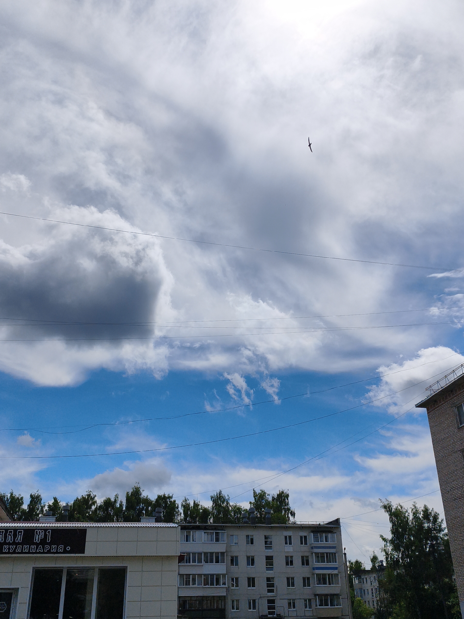 A bird is flying in a cloudy sky over buildings in Chaikovsky, Russia. The sky is a mix of blue and white clouds, with a few power lines stretching across the frame. Below the sky are the tops of trees and several apartment buildings. One building on the left appears to be a commercial establishment with Cyrillic text that reads "КУЛИНАРИЯ №1". Another, taller apartment building is visible on the right. The overall scene depicts an urban environment under a partly cloudy sky.