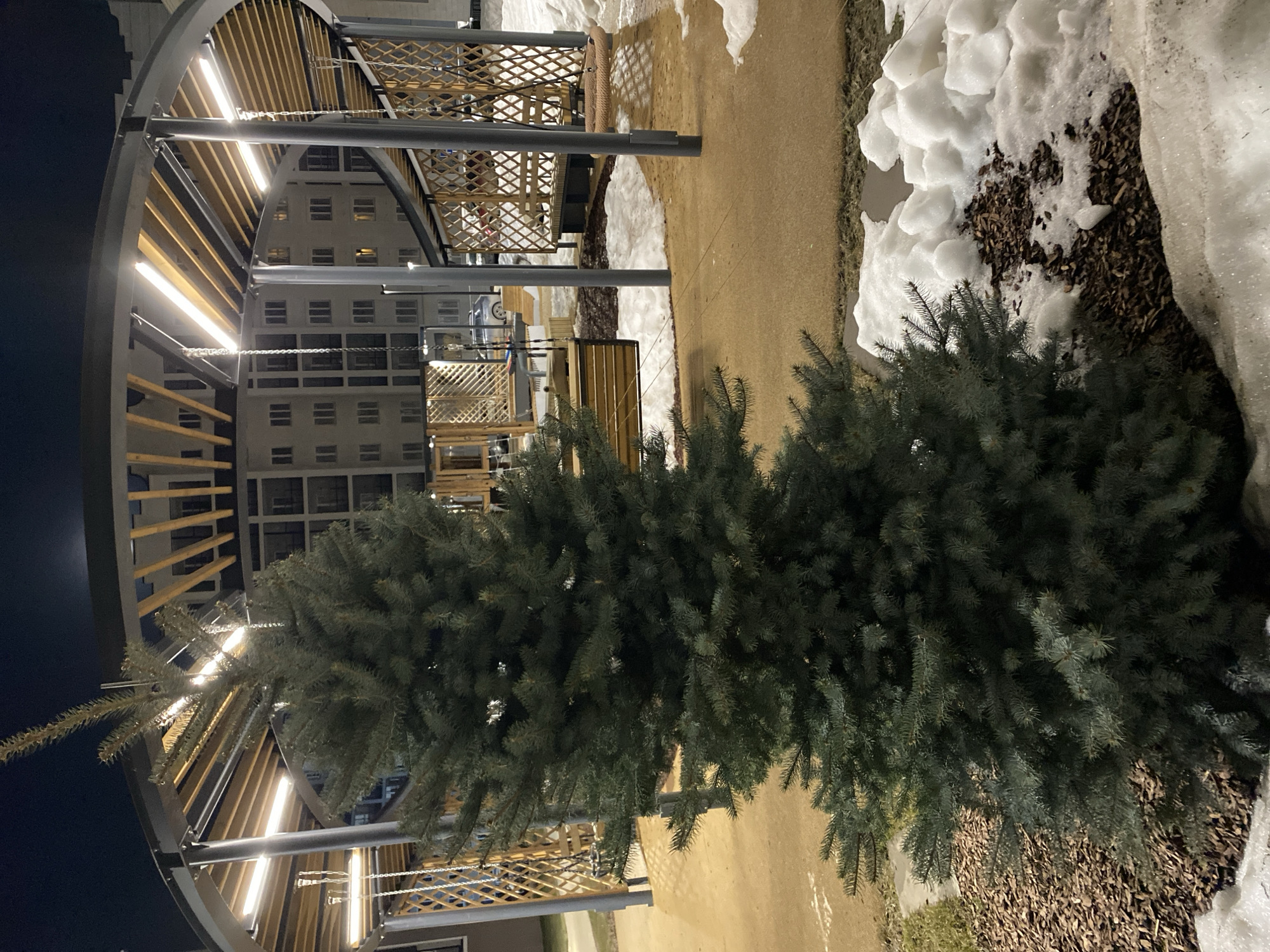 This image depicts a nighttime scene in Chemoshur, Russia. A small fir tree stands in the foreground, adjacent to a patch of snow. Behind the tree is a paved walkway and an architectural structure with an arched, illuminated frame and wooden lattice details. A multi-story building is visible in the background, with numerous illuminated windows.