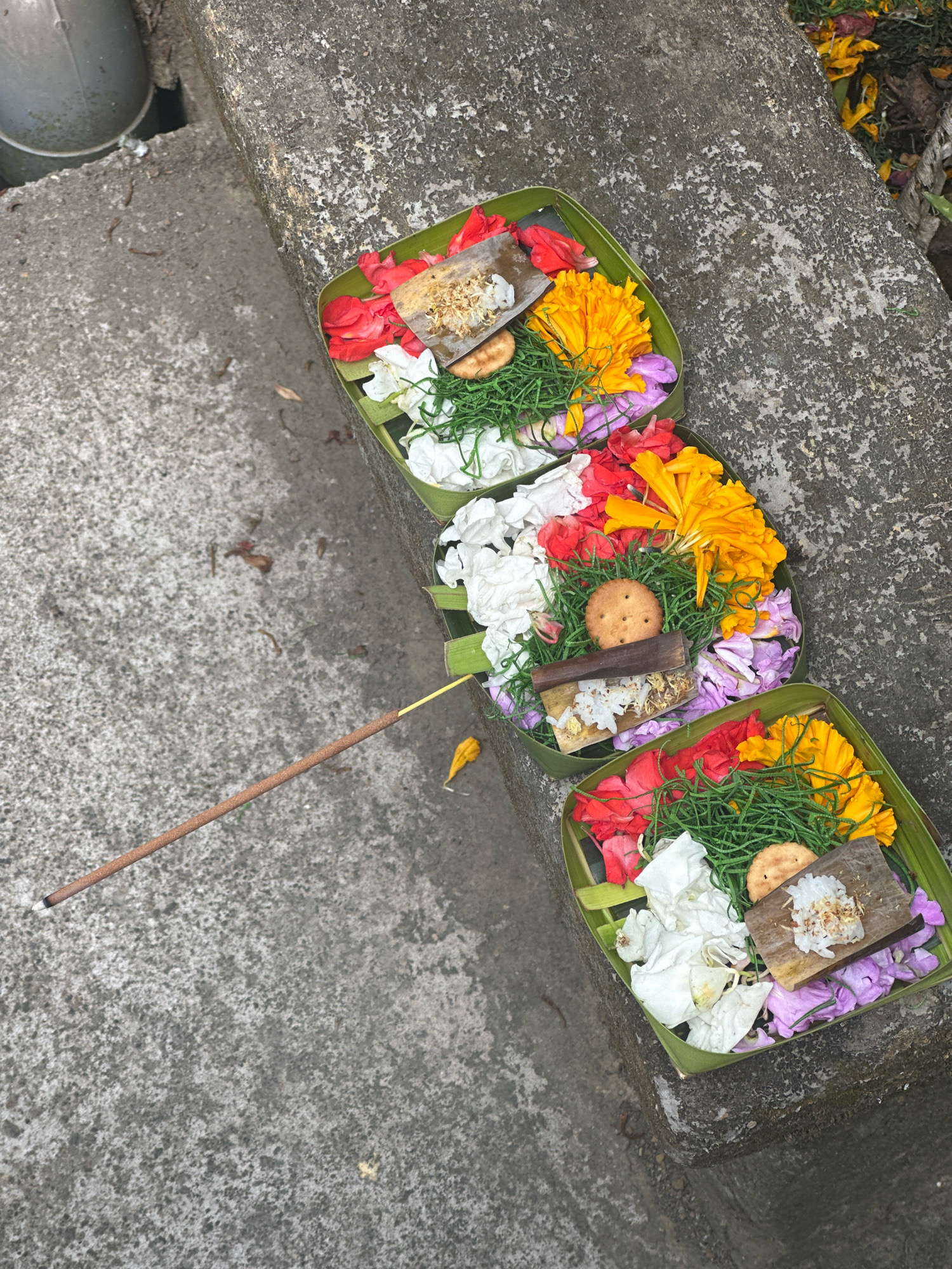 Three offerings are arranged in a stepped pattern on a concrete ledge. Each offering is a shallow, rectangular tray made of woven green leaves. The trays are filled with an assortment of colorful flower petals, primarily red, yellow, white, and purple, with some green grass interspersed. In each tray, there is a small, round biscuit, and a flat, wooden piece topped with white rice and some shredded material. An unlit incense stick rests diagonally across the concrete, its tip pointing towards the bottom left of the frame. The background consists of a rough, gray concrete surface and a glimpse of what appears to be a drainage pipe on the left. The setting is outdoors, with natural light illuminating the scene.