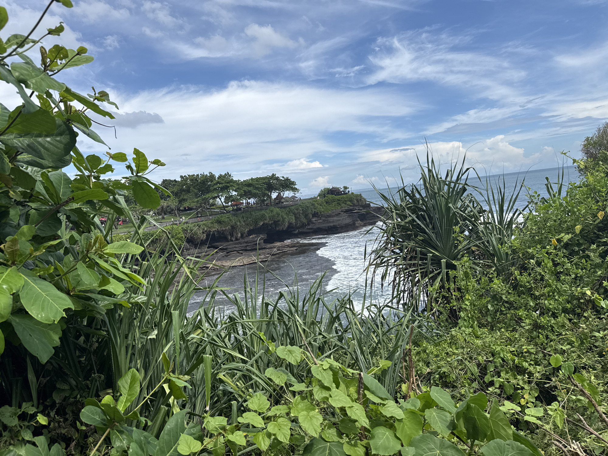 This image presents a vibrant coastal landscape in Kediri, Indonesia, characterized by lush vegetation, rugged ocean cliffs, and a expansive sky. The foreground is dominated by a dense array of green foliage, including broad-leafed plants with textured surfaces and tall, sword-like leaves, framing the view towards the ocean.
Beyond the immediate foreground, a dark, rocky coastline is visible, where white-foamed waves actively crash against the shore. A prominent headland or small island juts out into the sea, its top covered with thick green grass and numerous trees. On this elevated landform, several traditional-looking structures, possibly part of a temple complex or observation area, are nestled among the trees. A path or walkway can be seen winding along the promontory's edge.
The background features the vast expanse of the ocean meeting the horizon under a bright blue sky. Scattered white clouds, ranging from wispy cirrus to larger cumulus formations, adorn the sky, suggesting a clear day, likely late morning or early afternoon. The bright lighting indicates fair weather conditions. The scene evokes a sense of natural beauty and tranquility. No individuals are distinctly visible, and there is no discernible text within the image.