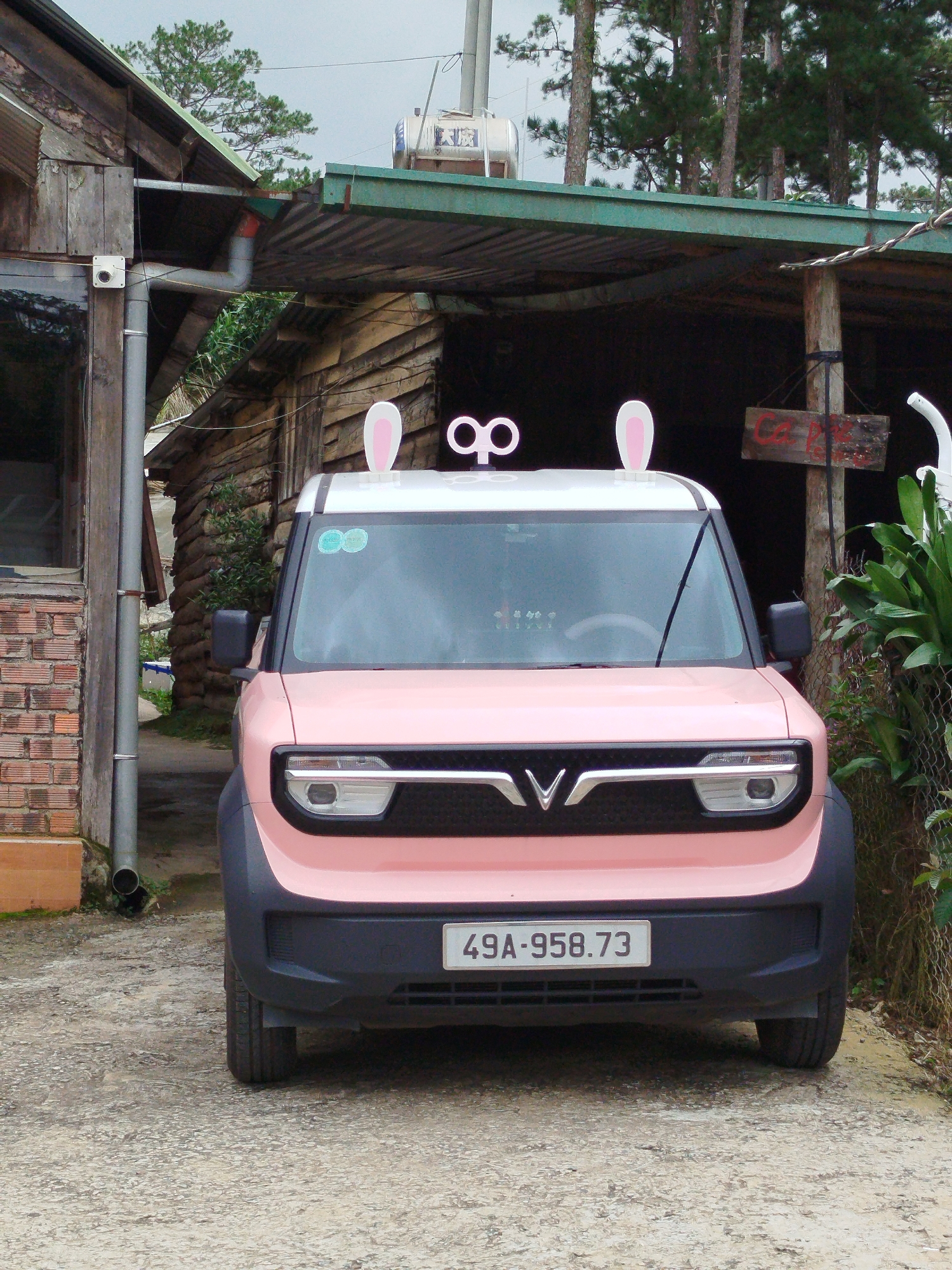 The image shows the front of a pink, compact electric vehicle parked outdoors in what appears to be a rural or semi-rural setting. The car has white bunny ears attached to its roof and a wind-up toy mechanism on top as well. The vehicle's license plate reads "49A-958.73". Behind the car is a rustic wooden structure with a corrugated metal roof, suggesting it might be a workshop or a shed. In the background, tall pine trees are visible, indicating a cooler climate. The ground is a rough, textured surface, likely concrete or gravel. The scene is located in Lạc Dương, Vietnam, a town known for its cooler climate and pine forests, often associated with tourism and agriculture. The overall impression is one of a quirky and whimsical display, perhaps at a roadside attraction or a private residence in the area.