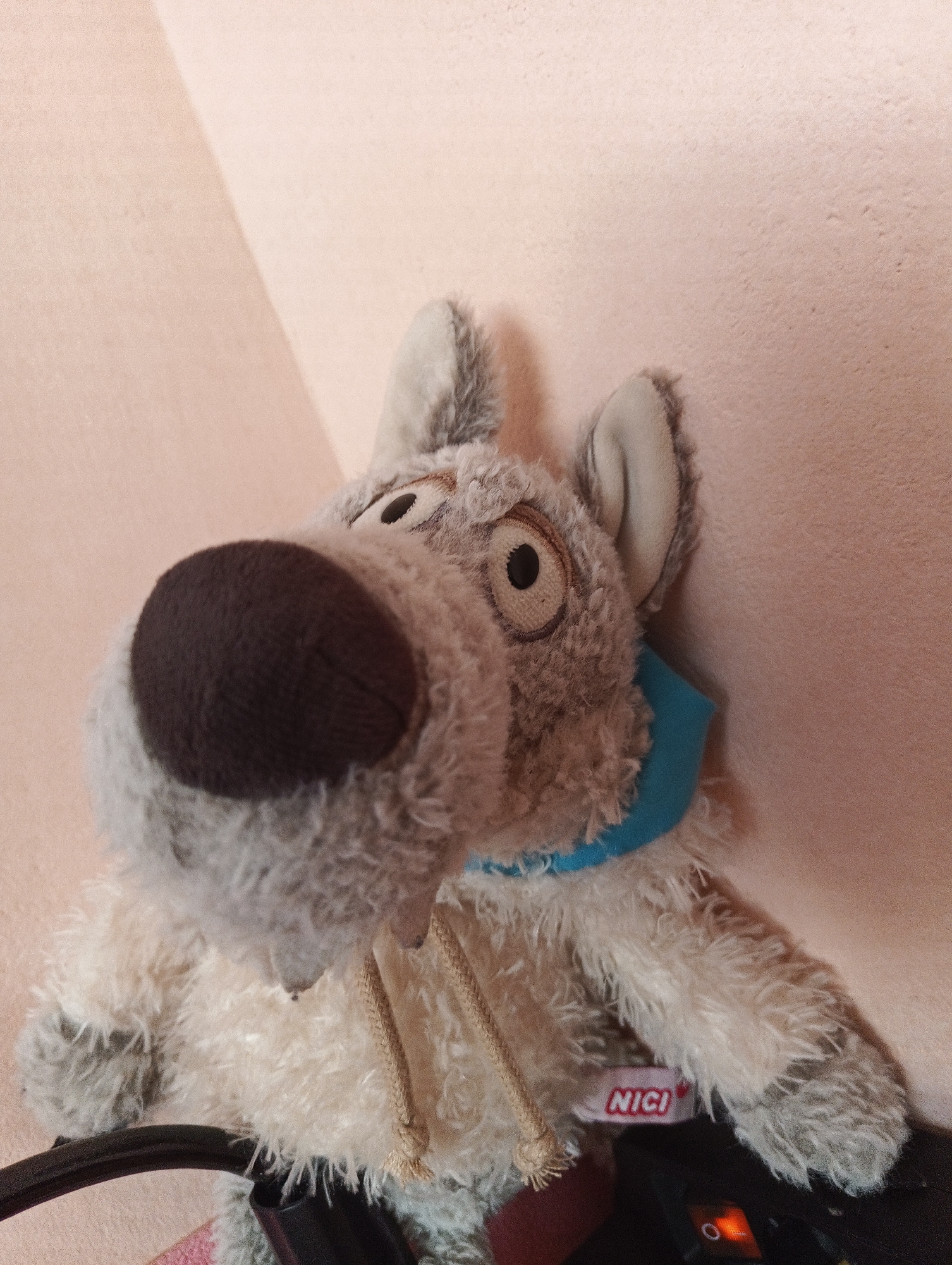 A close-up, low-angle, indoor shot features a plush toy dog with grey and white fur. The dog has large, dark brown eyes with lighter brown irises, a dark brown snout, and beige ears. It wears a bright blue collar. The dog is positioned in front of a light pink wall with textured surface, casting a subtle shadow. The bottom of the image shows a black object, likely part of a chair or stand, and a small pink and white tag with the red "NICI" logo. The lighting suggests artificial illumination. The image does not contain any elements indicating the city of Karnobat, Bulgaria.