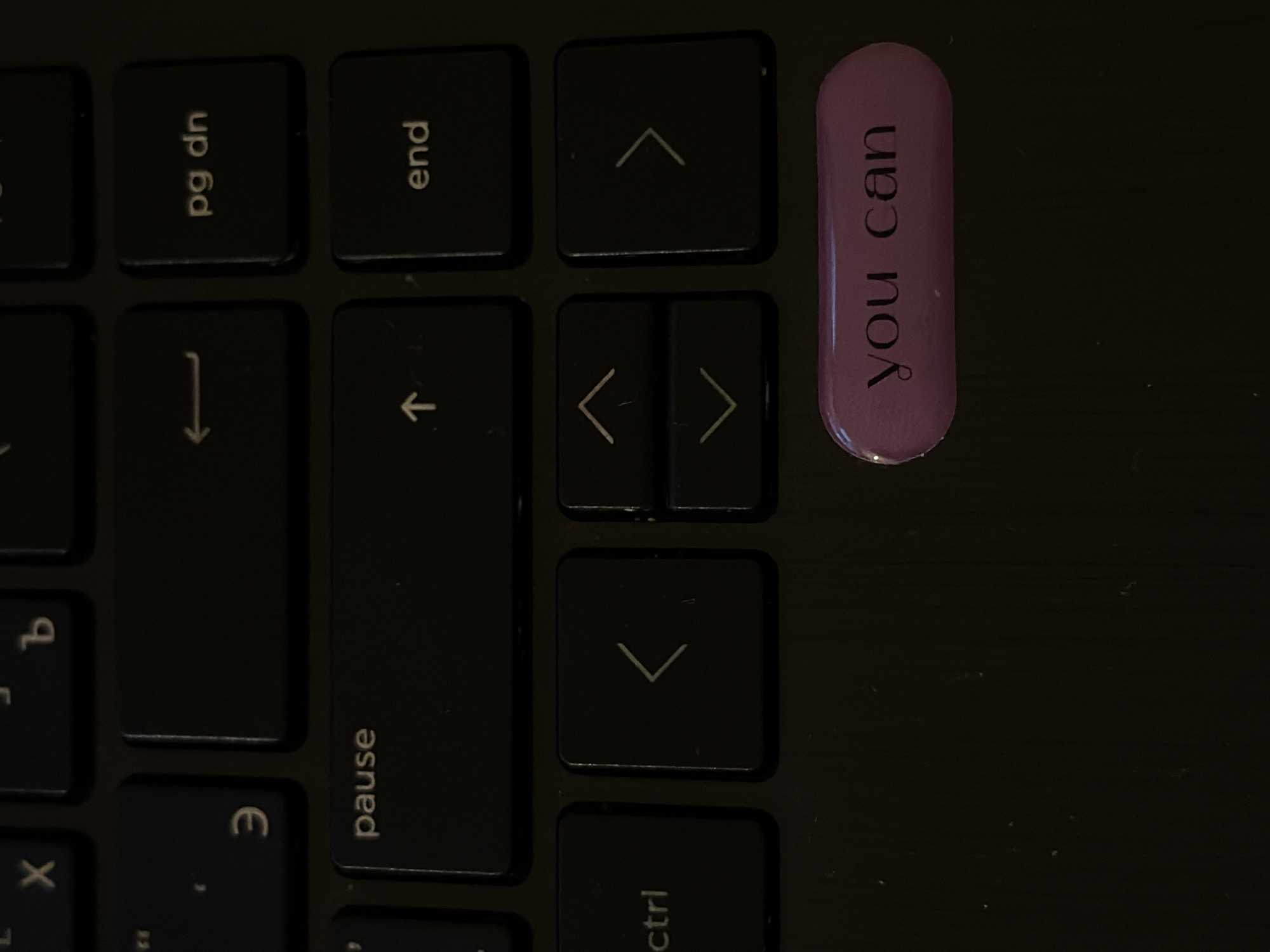 A top-down shot focuses on a portion of a black keyboard, with a purple oblong sticker bearing the inscription "you can" placed adjacent to the right of the up arrow key. Other keys visible include "pg dn," "end," arrow keys, "pause," and "ctrl." The setting is likely indoors, given the presence of the keyboard. The image does not indicate any specific location in Izhevsk, Russia, nor does it contain information about people or actions.