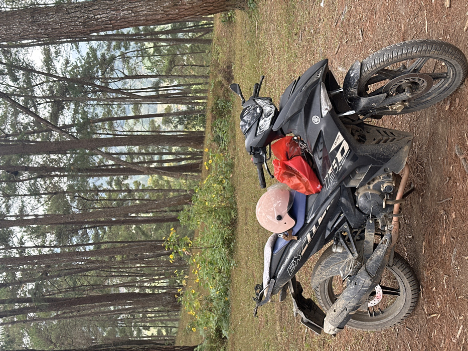 A black Yamaha Exciter 150 motorcycle stands on a dirt surface in a forest. A pink helmet rests on the seat, and a red plastic bag hangs from the handlebars. Tall trees dominate the background, creating a dense forest setting. Some yellow wildflowers peek through the foliage. The bike and its accessories suggest someone has paused their ride to enjoy the woodland scenery.