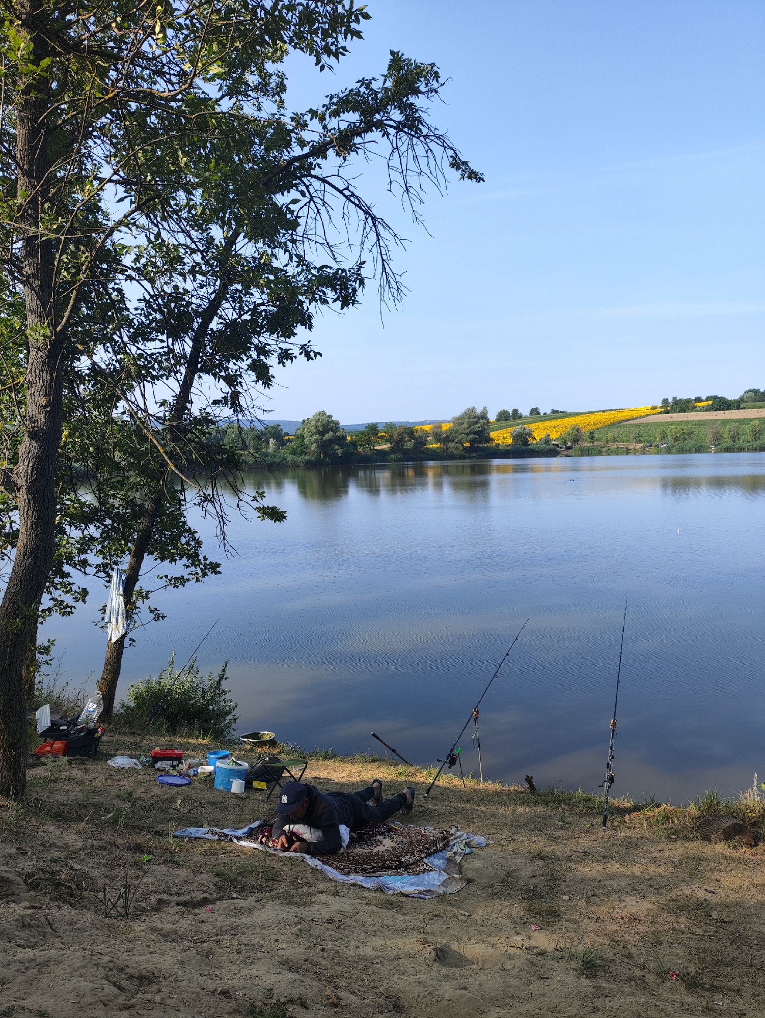 A man is lying down on a blanket on the sandy shore of a calm lake in Găleștii Noi, Moldova. He is wearing a dark blue baseball cap and dark clothing. He appears to be resting or possibly using his phone. Fishing rods are set up on the shore near him, indicating he is fishing. Several fishing rods are visible, some with lines in the water.
Next to the man are various fishing supplies, including a blue bucket, a cooler, a toolbox, and other containers. A large tree with green foliage stands to the left of the scene, partially obscuring the view of the lake and sky. A white towel or piece of fabric is hanging from a branch of the tree.
The lake is a dominant feature, reflecting the sky and surrounding landscape. On the far side of the lake, rolling hills are covered in vibrant yellow sunflowers and green vegetation, with a clear blue sky above. The overall impression is a peaceful outdoor setting, likely a popular fishing spot.