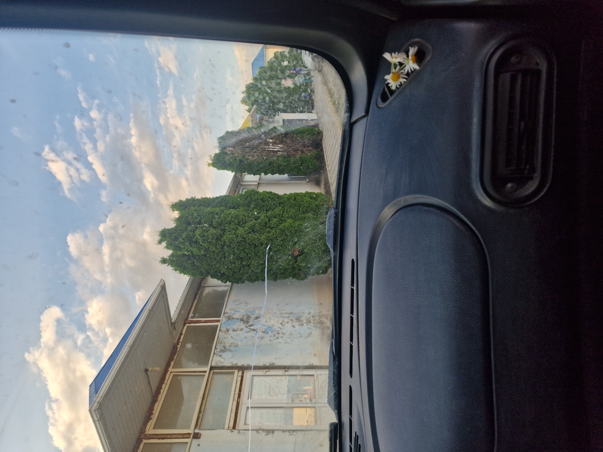 The image is taken from inside a vehicle, looking out the windshield. The view outside is of a cloudy sky and a building with a blue roof and several windows. There are also several trees visible. On the dashboard of the car, there are a few small white flowers with yellow centers. The overall impression is of a daytime scene, possibly in a rural or suburban area. The image is taken in portrait orientation. The time of day appears to be late afternoon or early evening, judging by the soft light and the colors of the clouds. The weather seems to be partly cloudy. There is no visible text in the image. The scene appears to be peaceful and serene.