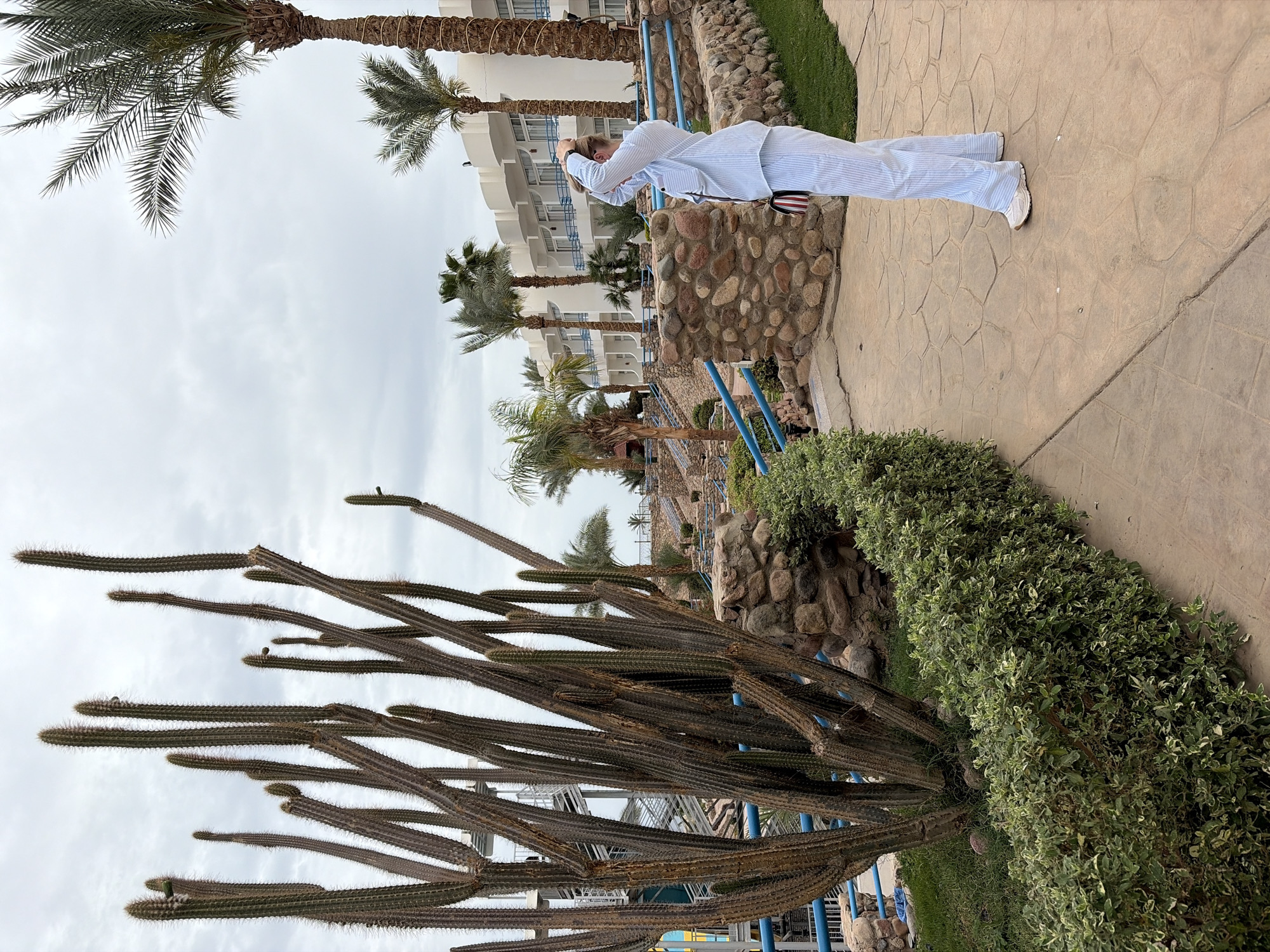 A woman in a white pinstripe suit stands looking out from a paved walkway with stone and grass landscaping in Sharm El Sheikh, Egypt. The walkway is adjacent to a pool area with blue railings, and a large cactus is in the foreground. The woman is leaning against a blue railing, looking towards a resort building framed by palm trees under a cloudy sky. She has her hands near her head.
