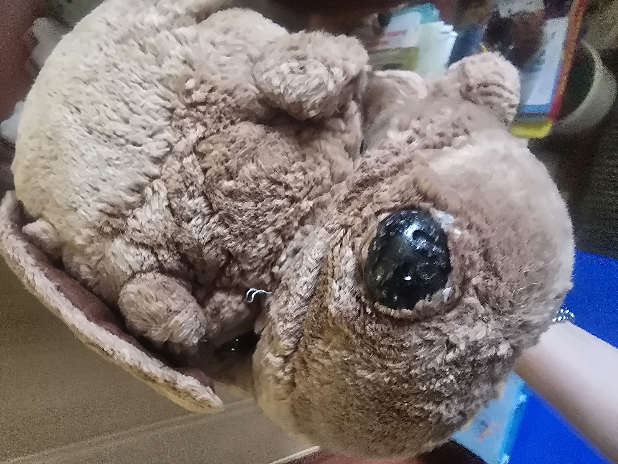 The image is a close-up, high-angle shot of a stuffed animal, likely a dog, with brown fur. The stuffed animal is held in a person's hand, which is visible in the lower left corner of the image. The stuffed animal has large, glossy black eyes and floppy ears. A small silver hoop earring is visible on the stuffed animal's head, near its left ear. The background is blurred and appears to be an indoor setting with various objects, including books or magazines and a white bowl. There is no visible indication of the city of Arshan, Russia, within the image.
