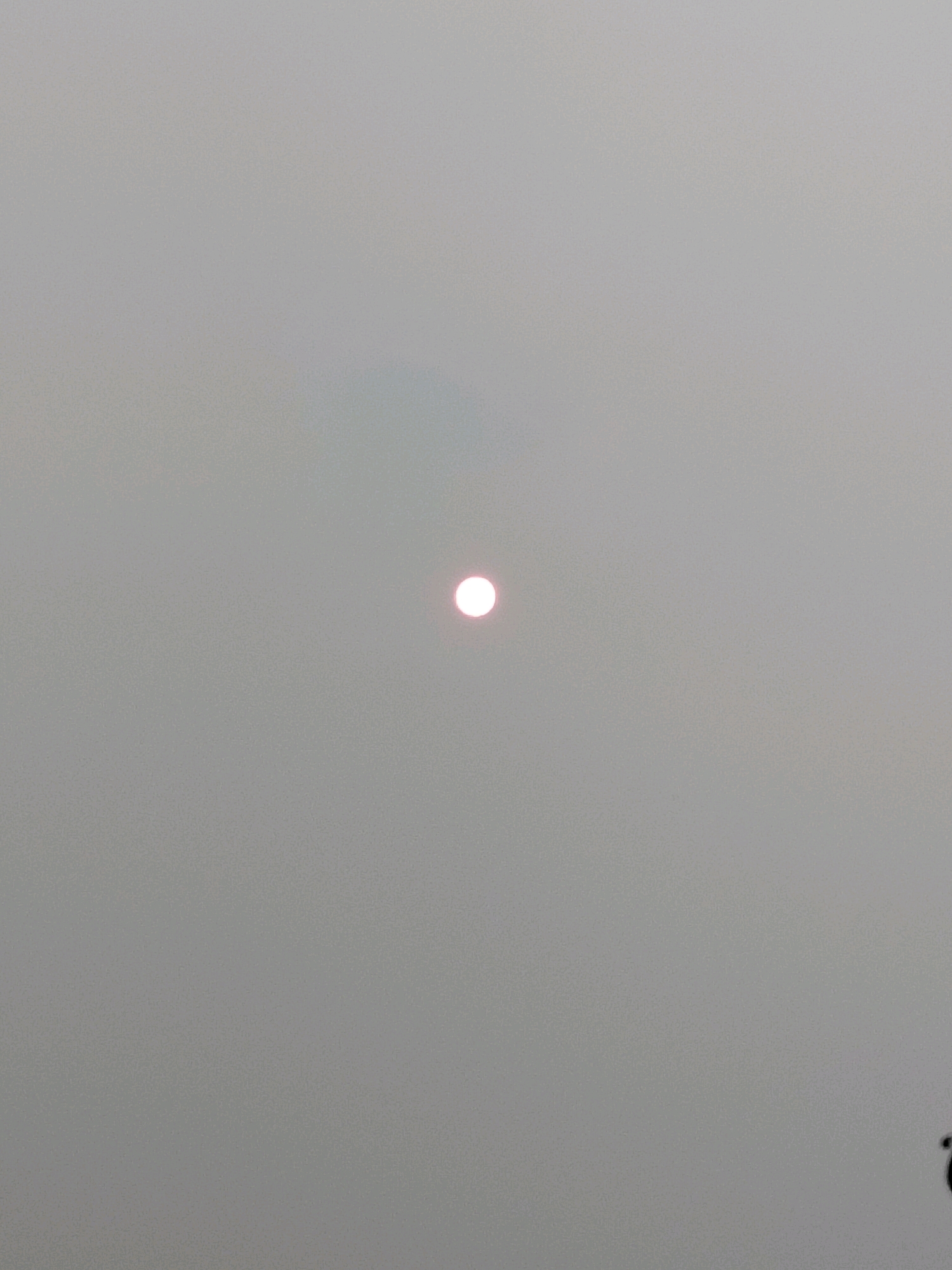 The image depicts a hazy sky with the sun visible as a bright, round orb in the upper center. The haze is thick, obscuring any distant details and giving the sky a muted, grayish-white appearance. There are no people, animals, or distinct structures visible in the image, only the sun against a backdrop of atmospheric haze. The overall impression is one of reduced visibility due to environmental conditions. The location of Sungai Raya, Indonesia, is not discernible from the visual information present in the image.