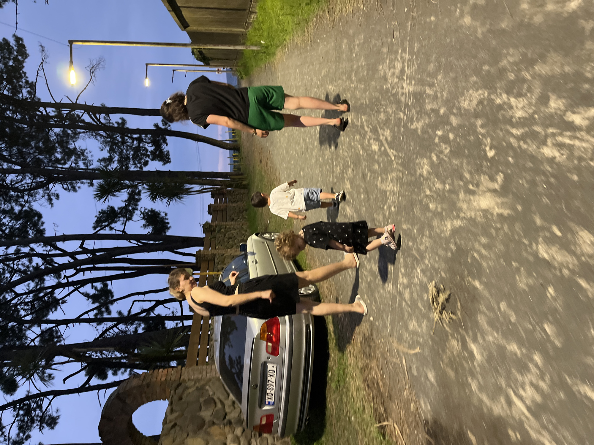 At dusk in Ureki, Georgia, two women and two young children walk along a paved pathway lined with tall pine trees and lush green grass. The sky is a deep twilight blue, and streetlights are beginning to illuminate the scene. A silver sedan is parked to the left of the pathway, next to a stone wall with a brick archway. One woman, wearing a black sleeveless top and a black skirt, walks ahead, while the other, in a black t-shirt and green shorts, follows. A young boy in a white t-shirt and blue shorts walks in front of the second woman, and a toddler in a black dress walks in front of the first woman. The pathway shows signs of wear and tear, with patches of lighter and darker material, and dried leaves scattered across the surface. The air appears still, with no strong wind visible.