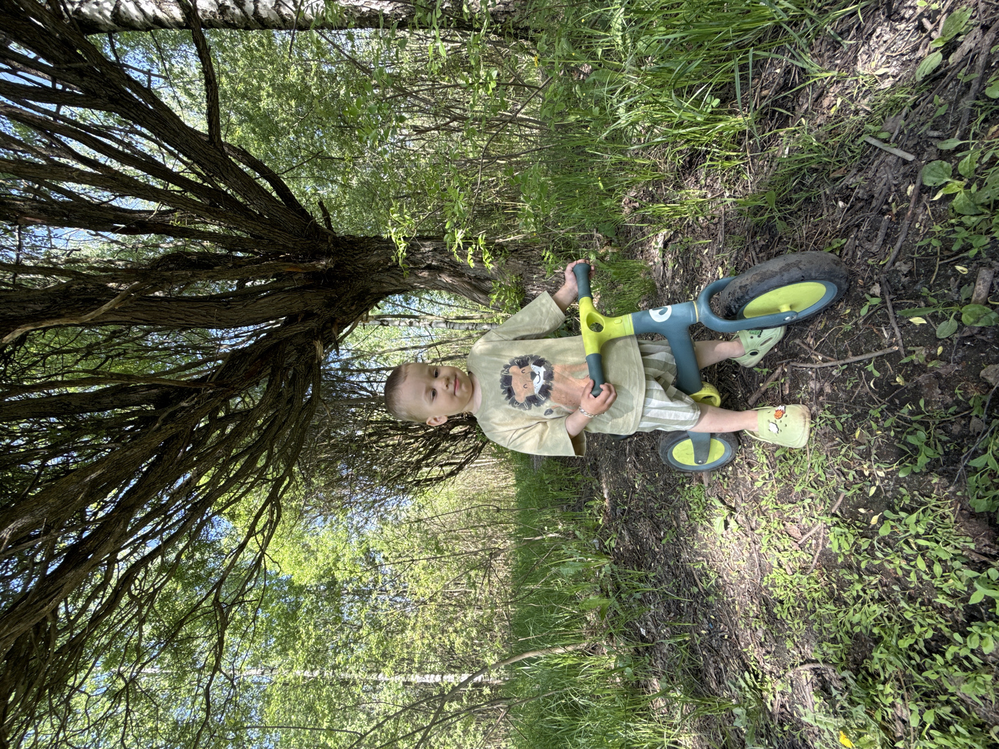 A young boy sits with a balance bike in a park. The ground is covered in grass and some foliage. A large tree, with many branches, overshadows the scene. The location is likely Rusanovo, Russia, given the prompt instructions.