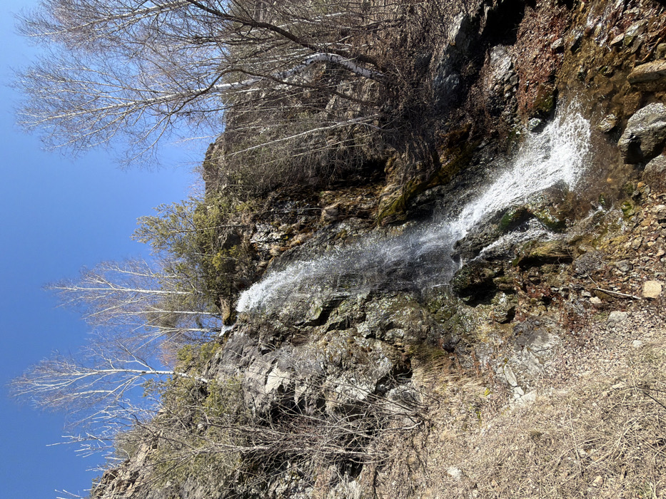 The image displays a natural waterfall cascading down a steep, rocky hillside in the vicinity of Anton, Bulgaria. Water flows from an elevated point, descending over dark, textured rock formations that exhibit patches of green moss. At the base, the water collects into a shallow, rocky stream that flows towards the right foreground.
The surrounding environment consists of a mix of vegetation. Numerous deciduous trees, predominantly birches with prominent white bark, stand mostly bare of leaves, indicating an early spring or late winter season. Scattered evergreen trees and various shrubs with some sparse green foliage are also present on the slopes. The ground is covered with dry, light brown grass, fallen leaves, loose gravel, and exposed rock fragments.
The sky is clear and bright blue, suggesting sunny weather conditions. No human figures, animals, or man-made structures are visible within the frame. The overall impression is one of a natural, untamed landscape.