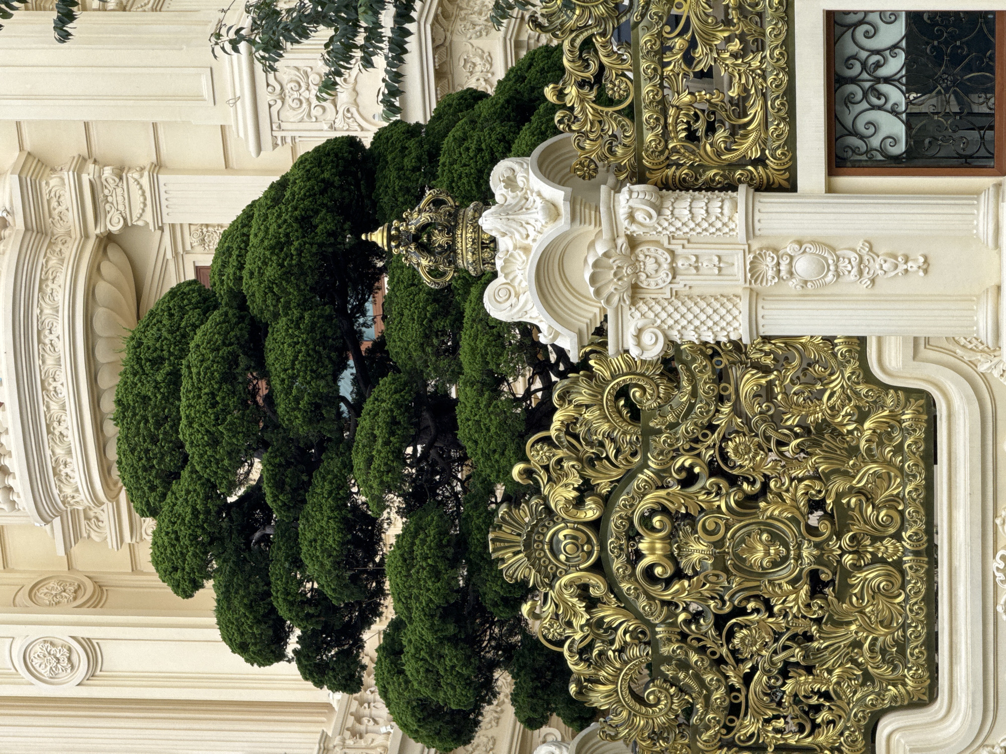 The image captures an ornate gold gate with intricate scrollwork and decorative elements. Behind the gate, a large, sculpted evergreen tree with dense, layered foliage dominates the scene. The tree appears to be meticulously shaped, possibly a bonsai. To the right of the tree, a portion of a building with cream-colored walls and classical architectural details, including columns and moldings, is visible. A dark window with a decorative wrought-iron grate is also present on the building. The overall impression is one of opulence and meticulous landscaping. This scene is located at the Dinh 3 (Bao Dai Palace) in Da Lat, Vietnam. No people are visible in the image.