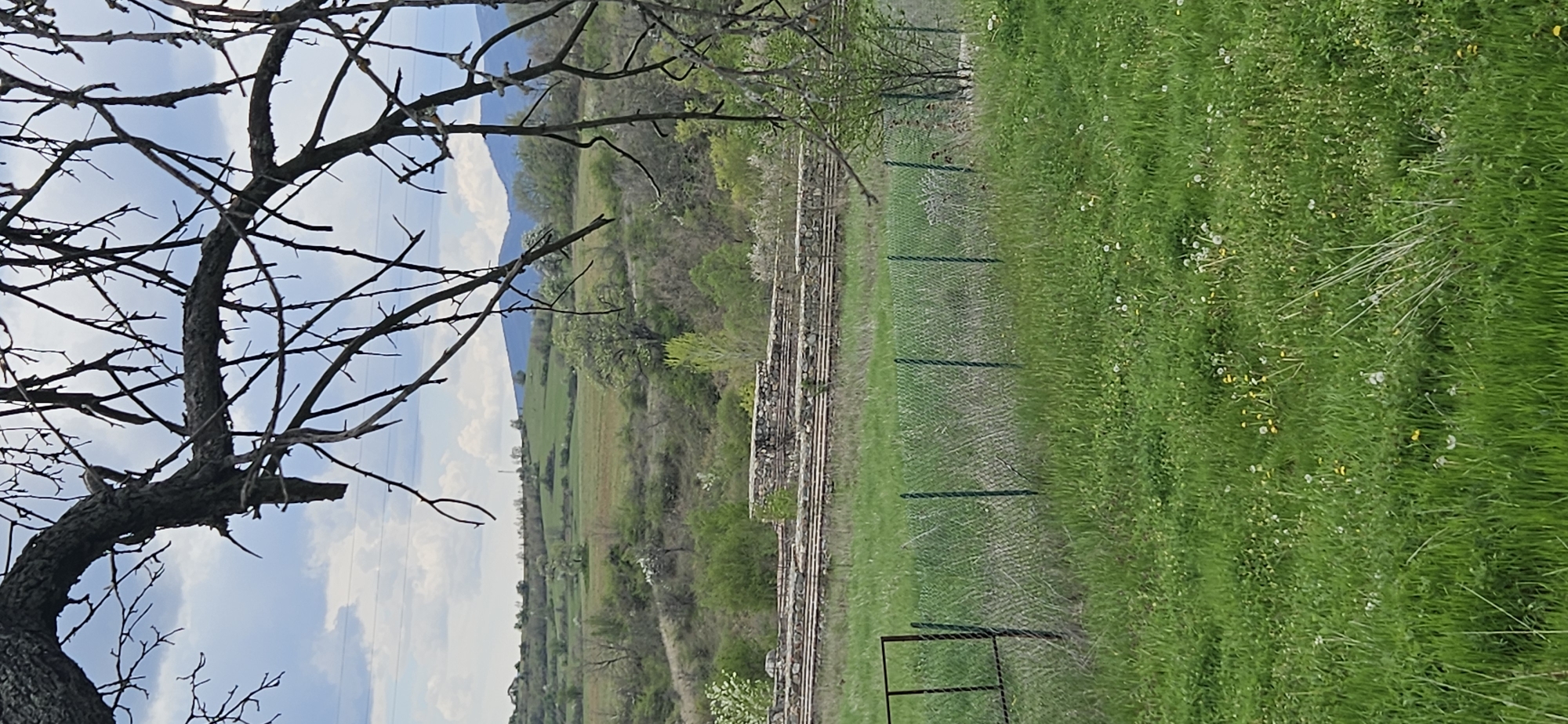 This media file captures a tranquil rural landscape, likely in early spring, in what appears to be Drenkovo, Bulgaria. The scene is dominated by natural elements under a bright, partly cloudy sky.
In the foreground, to the left, a prominent deciduous tree stands with its bare, gnarled branches extending across the upper portion of the frame, silhouetted against the sky. Its bark shows a rough, textured surface.
The midground features a wide expanse of vibrant green grass or meadow. Running horizontally across the scene, roughly in the middle, are what appear to be ancient-looking stone structures or remnants of a dry stone wall, adding a historical dimension to the landscape. Parallel to these stone structures, further to the right, is a modern green wire mesh fence with sturdy posts, segmenting the grassy area. A small gate or opening is visible at the bottom right end of this fence. Beyond the fence, the grass is taller and dotted with small white and yellow wildflowers, possibly dandelions.
The background consists of undulating hills and valleys, covered with various trees and shrubs, some of which exhibit early signs of spring foliage. In the far distance, hazy blue mountains or large hills rise gently against the horizon, completing the panoramic view.
No human activity or individuals are visible, emphasizing the natural serenity of the setting. The time of day appears to be mid-day, characterized by bright, diffused sunlight. The weather is clear and calm, suggesting a pleasant spring day. There is no visible text in the image. The combination of ancient stone elements, rural fencing, and the natural topography provides strong location cues consistent with the provided context.
