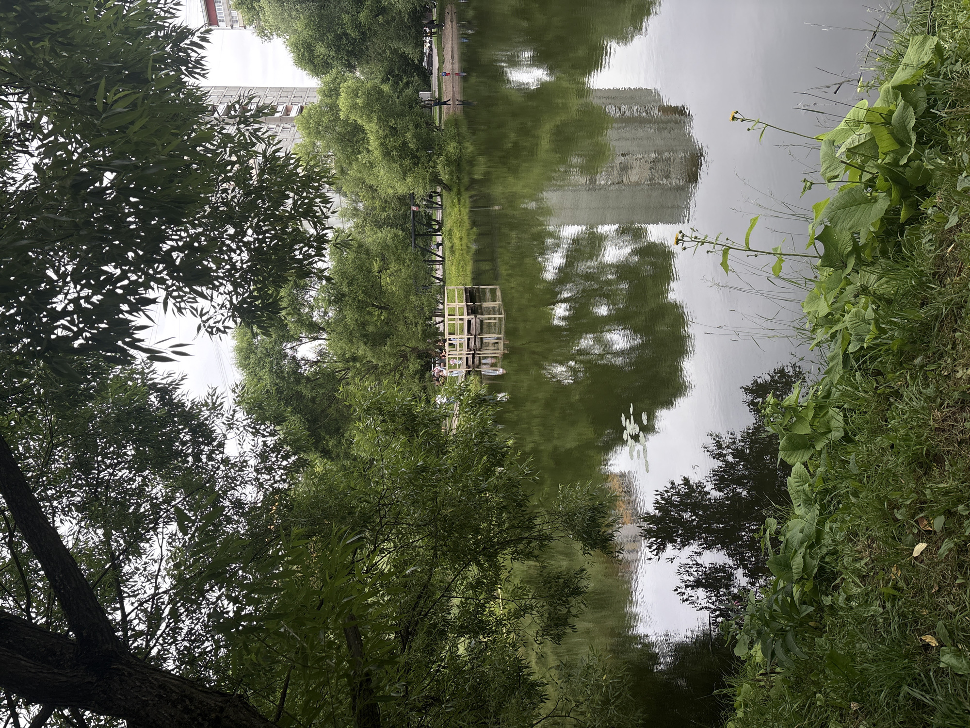 A serene lake scene is captured in this outdoor photograph, likely taken during the day. In the foreground, lush green grass and large-leafed plants line the edge of the water. The lake itself is a dark, reflective surface, mirroring the surrounding trees, a pier, and buildings in the background. Several lily pads are visible on the water's surface.
A wooden pier extends into the lake from the far bank, with a few people visible standing on it. They appear to be casually strolling or enjoying the view. The pier is constructed of light-colored wood with white railings.
Beyond the lake, a dense line of green trees forms a natural backdrop, interspersed with tall, multi-story buildings, suggesting an urban or suburban park setting. The sky is overcast, contributing to the muted light and the lake's dark appearance. The overall impression is one of tranquility and natural beauty within an urban environment.