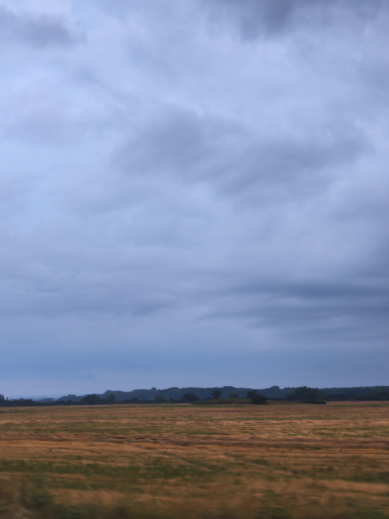 The image depicts a wide, open landscape under a cloudy sky. In the foreground, a field with a mix of golden-brown and green vegetation stretches horizontally across the frame. The vegetation appears somewhat blurred, suggesting movement, possibly from a vehicle.
In the middle ground, a dark, undulating line of trees and low hills forms the horizon. These trees are dense and suggest a forested area. The sky above is filled with a thick layer of overcast clouds, predominantly in shades of gray and pale blue, with some darker patches indicating heavier cloud cover. The overall lighting is dim, consistent with an overcast day.
The location is identified as a field near the city of Tonnelny, Russia. The scene is natural and rural, with no visible structures or human activity other than the implied movement that caused the blur in the foreground. The environment is dominated by the field and the distant treeline under a vast, cloudy sky.