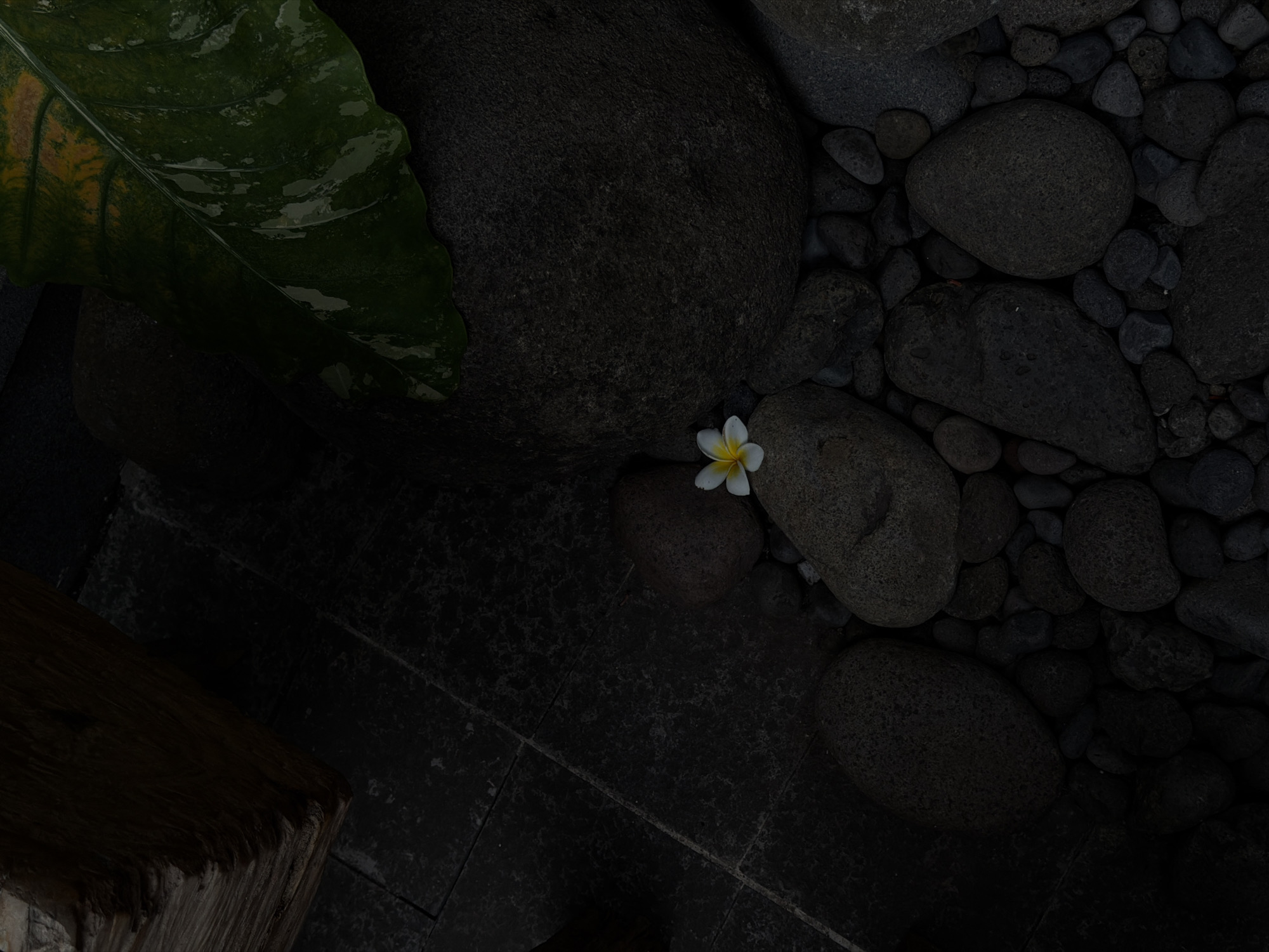 The photograph depicts a dimly lit outdoor scene, possibly in a garden or landscaped area, in North Kuta, Indonesia. The composition features an arrangement of smooth, dark river stones of varying sizes, some wet, interspersed with smaller pebbles. A single white Frangipani flower rests on one of the larger stones. A large, glossy green leaf with variegated yellow patches is positioned at the upper left of the frame, overlapping a larger stone. In the lower-left corner, a section of weathered wood is visible, suggesting part of a structure or border. The background consists of dark, tiled or paved ground. The overall scene is subdued, emphasizing the natural elements and creating a sense of tranquility.