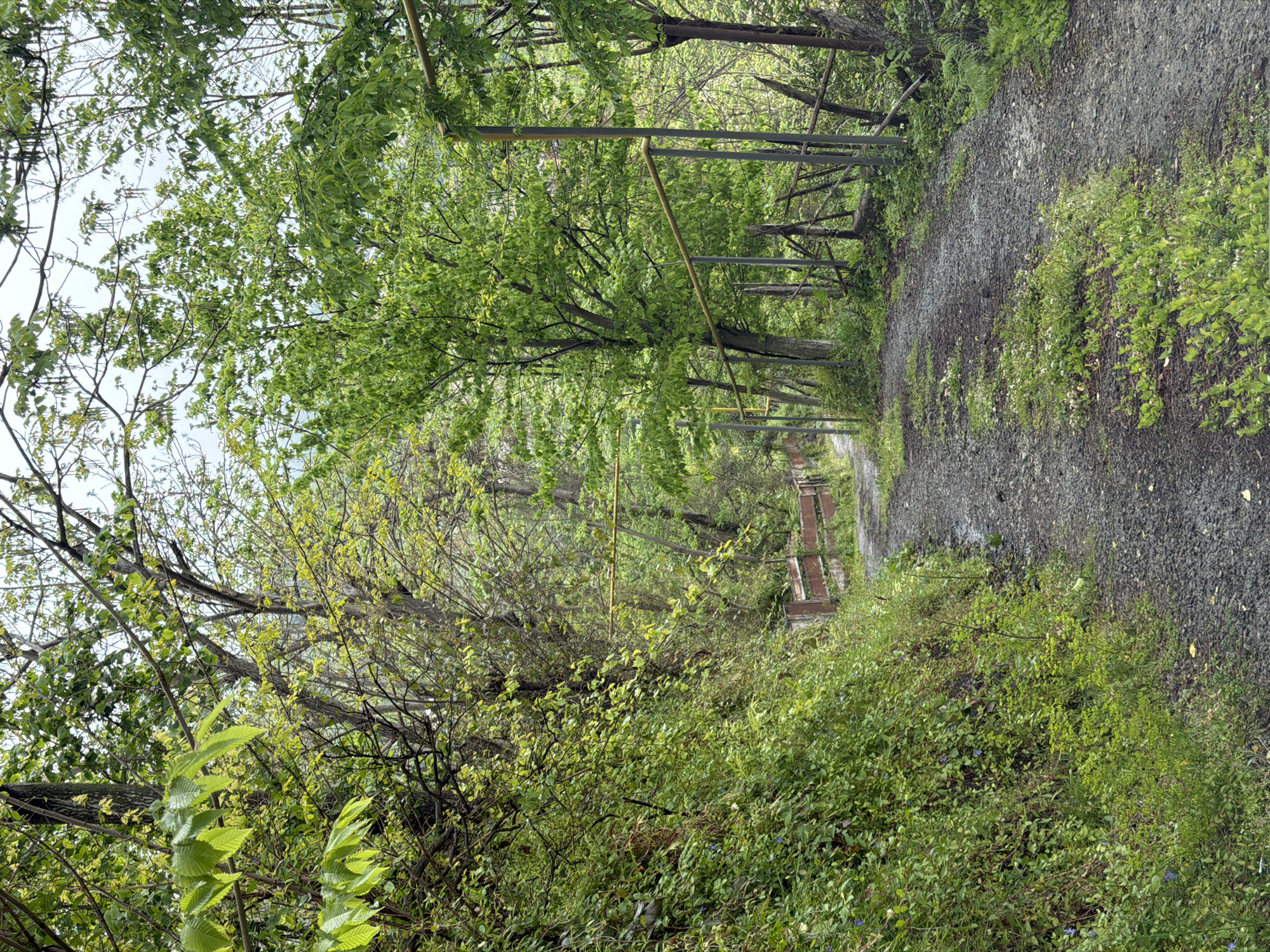 The image shows a narrow, gravel path in a wooded area. The path is flanked by trees and dense foliage on both sides. A series of metal poles or bars are visible along the left side of the path, possibly indicating a former structure or fence. The vegetation is lush and green, suggesting a damp or temperate environment. The path appears to lead toward a distant, obscured structure. The location is in Agara, Georgia. There are no people or subjects.