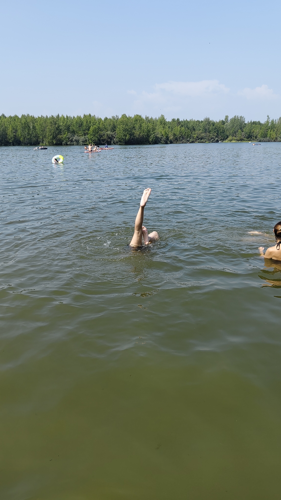 In Terent'yevo, Russia, a person is submerged in murky green water, with their legs and feet extended vertically out of the water. They appear to be performing a handstand or somersault. The surrounding water is rippled, indicating movement. In the background, a treeline borders the body of water, with a clear blue sky above. Other individuals are visible in the distance, some on paddleboards and one partially submerged in the water. The overall scene depicts a recreational activity in a natural setting.
