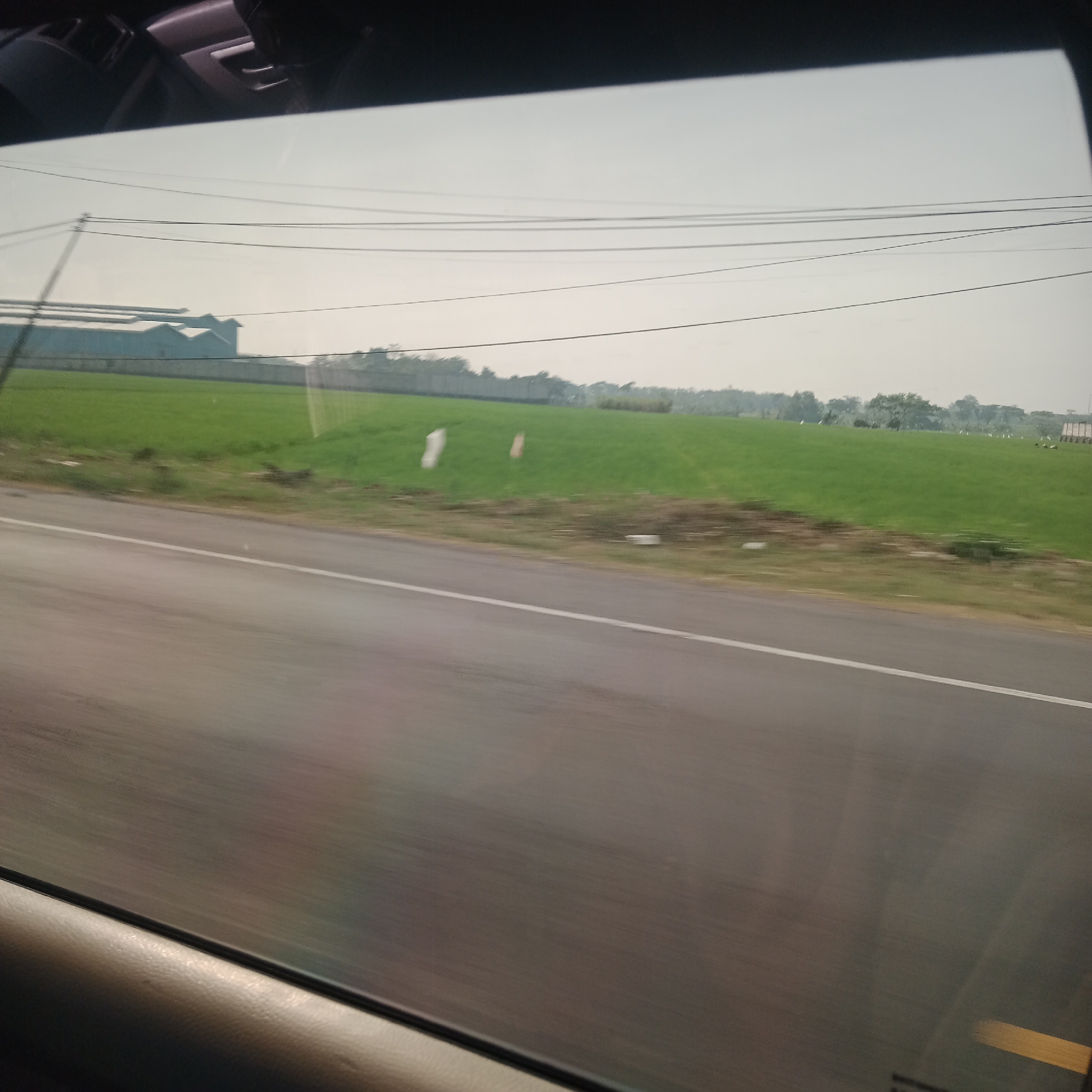 The image depicts a view from inside a vehicle, likely a car, looking out through a window. The foreground shows the interior of the vehicle, with a blurred leather-like texture of a seat and a dark, indistinct dashboard or window frame. The main scene outside consists of a road running diagonally from the bottom left to the upper right of the frame. The road is gray and appears wet, with a white line marking the center or edge. Beyond the road, there is a vibrant green field, possibly agricultural land, extending towards a distant horizon. In the far distance, a hazy treeline is visible, and above that, a pale, overcast sky with several power lines stretching horizontally across the frame. The overall impression is of a rural or semi-rural landscape, likely taken from a moving vehicle on a road in Sambungmacan, Indonesia, given the context. There are no discernible people or specific actions, only static elements of the environment.