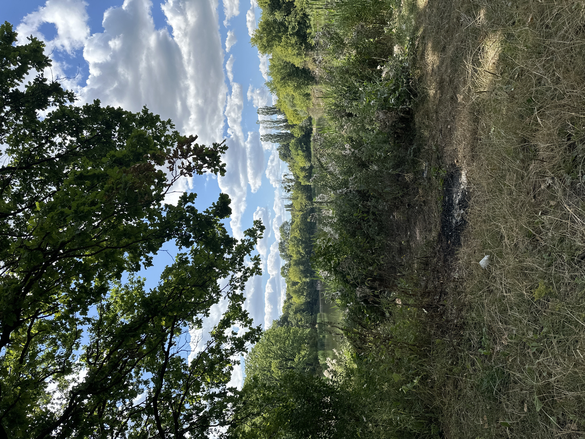 An outdoor scene in Makiv, Ukraine, features a calm body of water bordered by lush green trees and vegetation. A large tree branch with green leaves extends from the upper left, partially obscuring the blue sky dotted with white, fluffy clouds. The foreground consists of dry, yellowed grass and some scattered debris, including a small white object and a dark, burnt patch of ground.