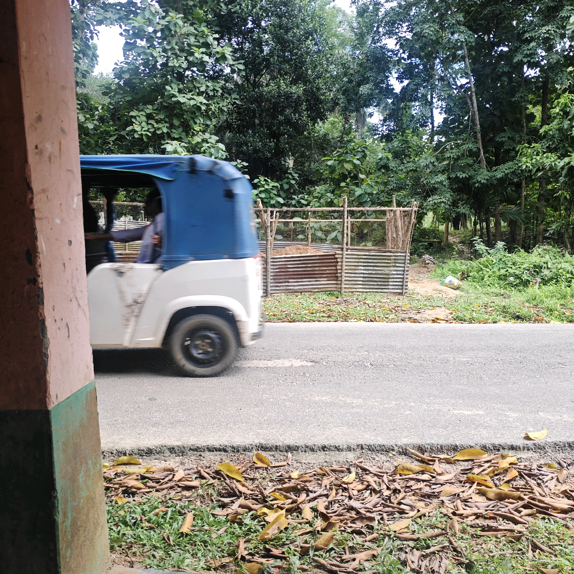 In Hrishyamukh, India, a white and blue autorickshaw is captured in motion, traveling on a paved road. The vehicle's front portion is visible on the left side of the frame, with its rear obscured. A person wearing a dark garment is seated in the driver's position, their body partially visible through the open side of the autorickshaw. The surrounding environment consists of a dense collection of trees and foliage, suggesting a natural, possibly rural or suburban, setting. To the right of the road, a rustic fence made of wood and corrugated metal sheets encloses an area with some loose soil and scattered debris. The ground along the roadside is covered with a thick layer of fallen brown and yellow leaves, interspersed with patches of green grass. A large, weathered, reddish-pink pillar stands prominently in the foreground on the left, partially framing the scene. The lighting appears to be natural daylight, casting subtle shadows and illuminating the foliage.
