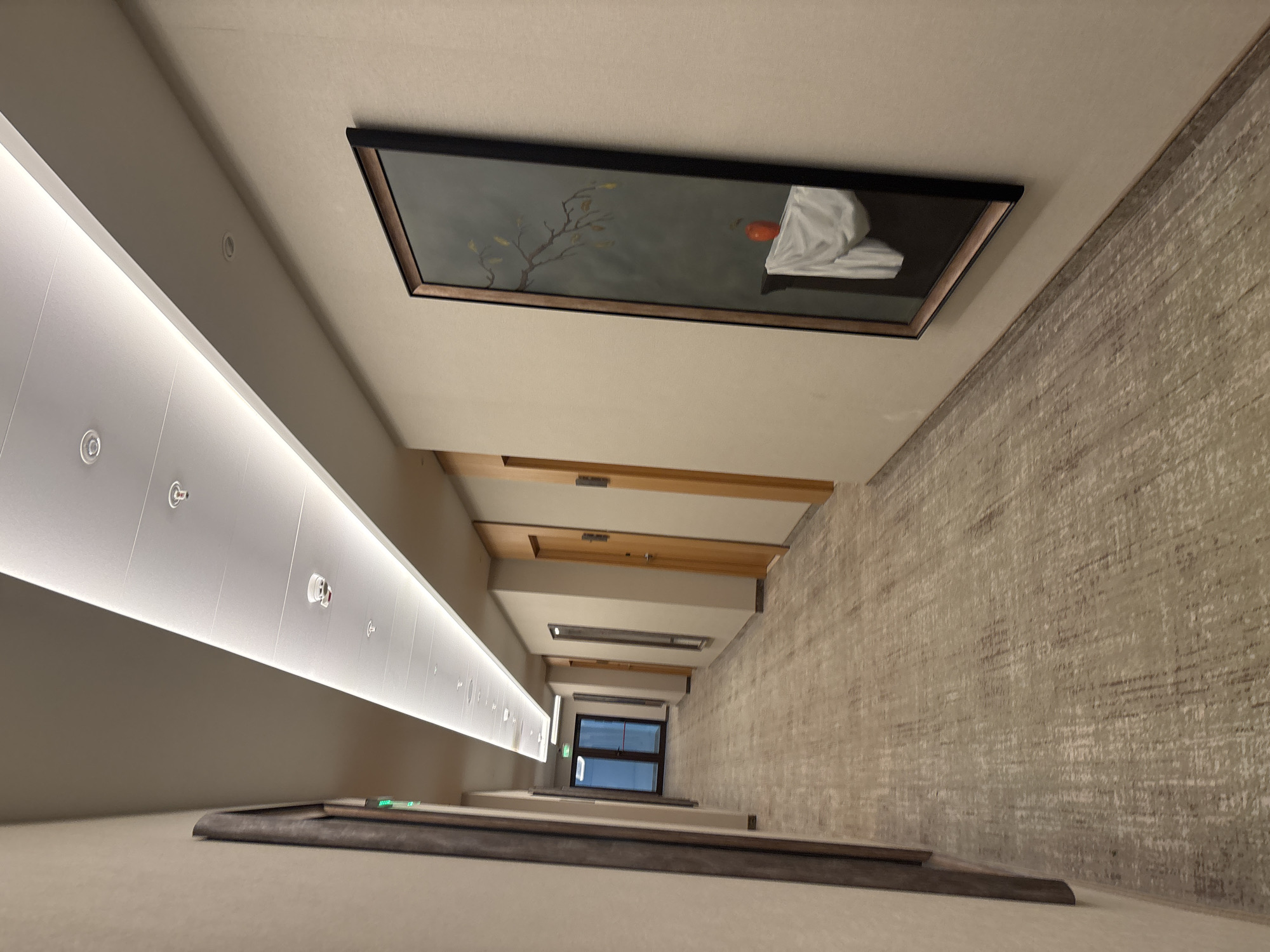 The image shows a hotel hallway. The hallway is long and narrow, with a patterned carpet on the floor and neutral-colored walls. A modern light fixture runs along the ceiling, providing bright illumination. There are several doors visible along the hallway, some of which are closed and made of wood, while others appear to be glass doors at the far end of the hallway. A piece of artwork, a framed painting depicting a branch with leaves and an apple on a draped cloth, hangs on the right-hand wall. The painting is framed in dark wood and is oriented vertically. The overall impression is one of a clean, modern, and well-maintained space. The image does not contain any information that would allow for identification of the location within the city of Razliv, Bulgaria.